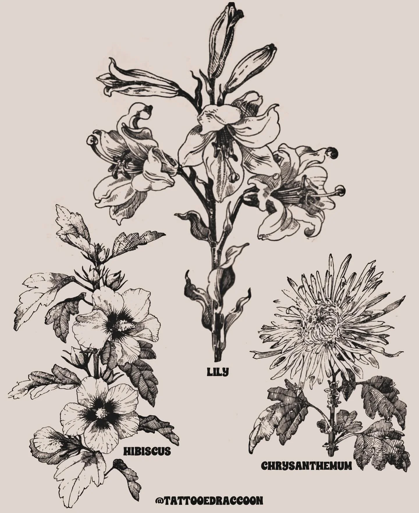 new flash!! 🌺🌻🥀🌷🌼
Etched botanicals from 1886 plant studies. Adapted to better fit the body 😌
Booking July! DM me 🫶🏼
.
.
.
.
.
.
.
#brooklyntattoo #brooklyntattooartist #nyctattoo #nyctattooartist #brooklynflashsheet #flashsheet #tattooflash 