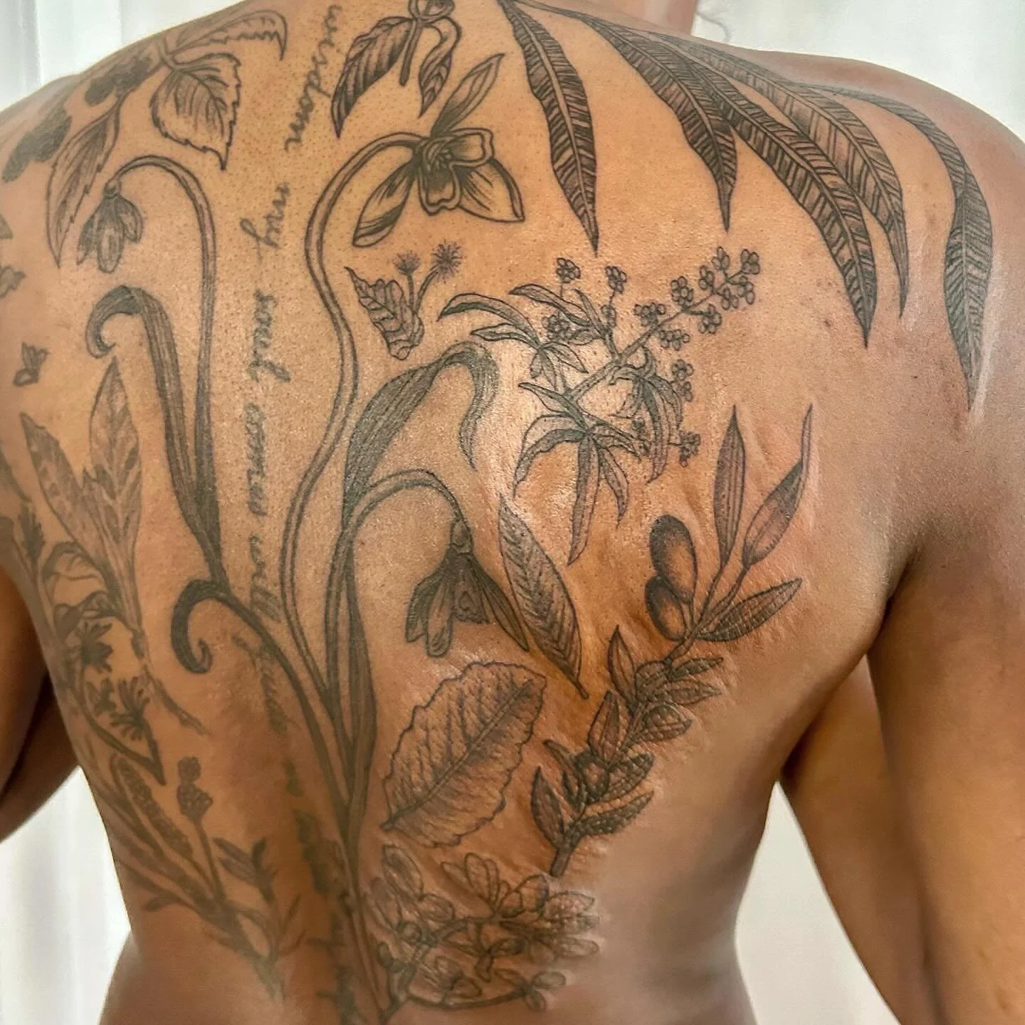 Tackled the right side of Semira&rsquo;s back piece today! 🌿Added willow leaves, cat&rsquo;s claw, burdock, vitex, olive, fenugreek, turmeric, and mullein. 

New (puffy!) tattoos among healed plants from our last session and some existing pieces she