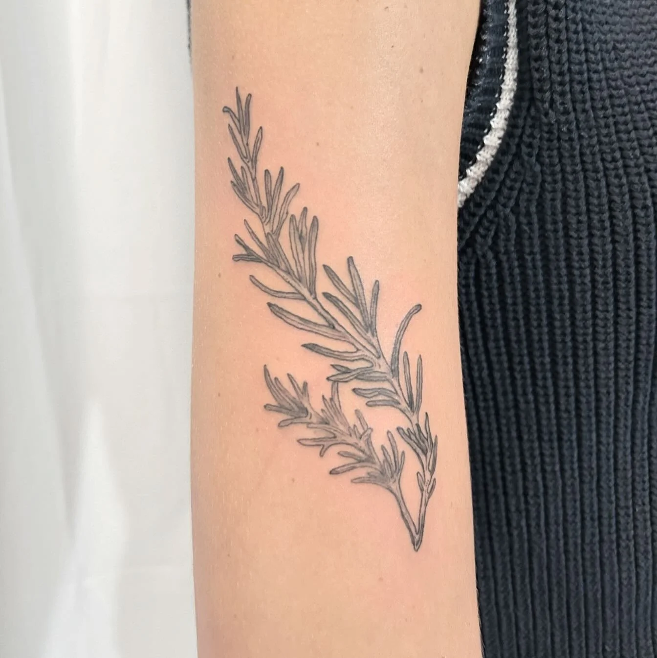 rosemary for Ava 🌿
.
.
.
.
.
.
.
.
.
#brooklyntattoo #brooklyntattooartist #williamsburgtattoo #botanicaltattoo #botanicaltattooartist #rosemarytattoo #herbtattoo