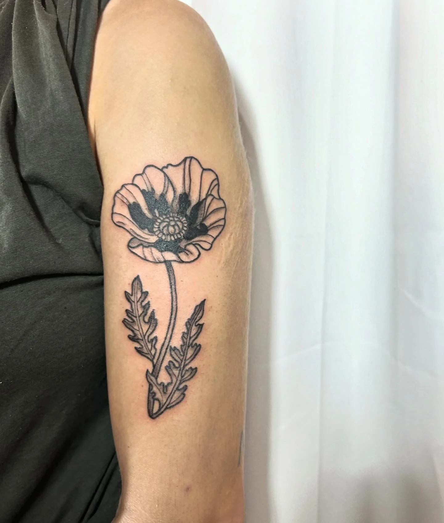 red poppy done for the raffle for Amira 🇵🇸

donate at bit.ly/Help4Amira

Amira Baalousha, originally from Gaza, has endured unimaginable loss: the death of her beloved parents, her sister, her brother-in-law, and their four children. 

Please suppo