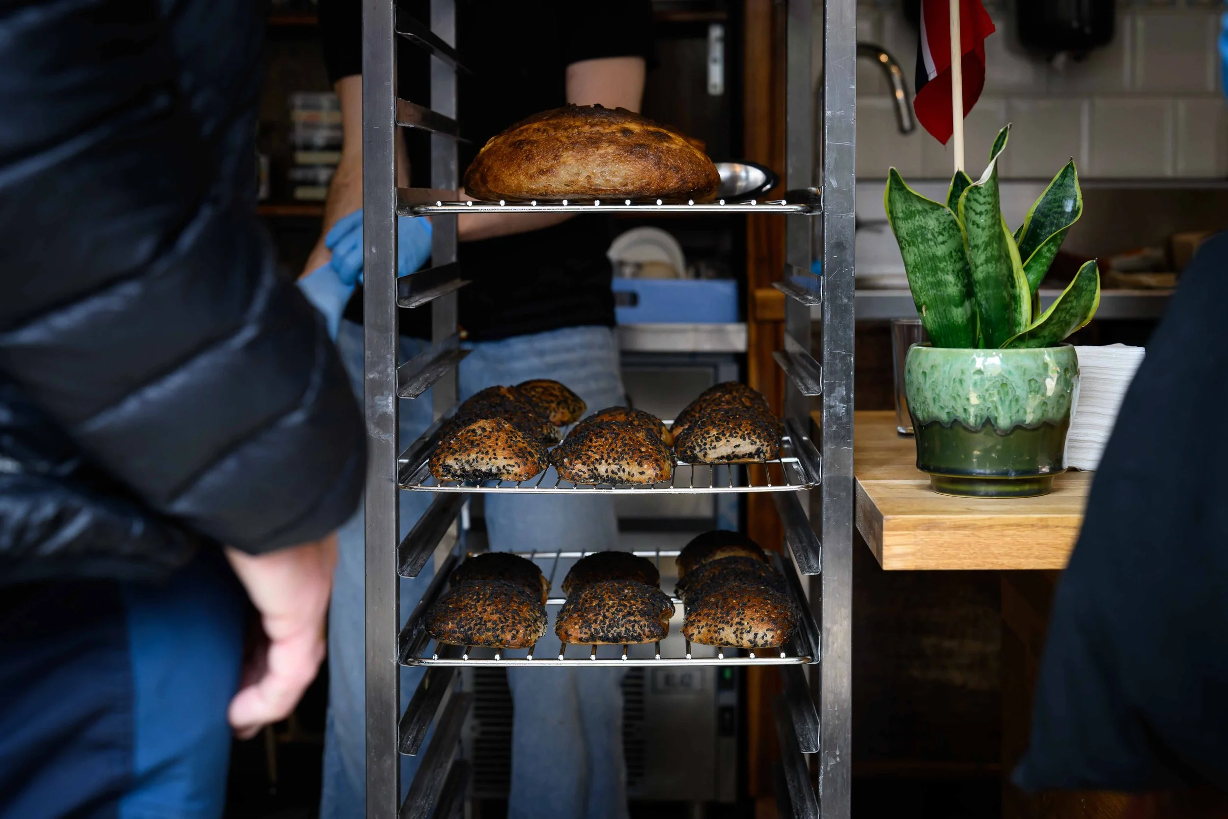 Best Bakeries in Oslo, Norway