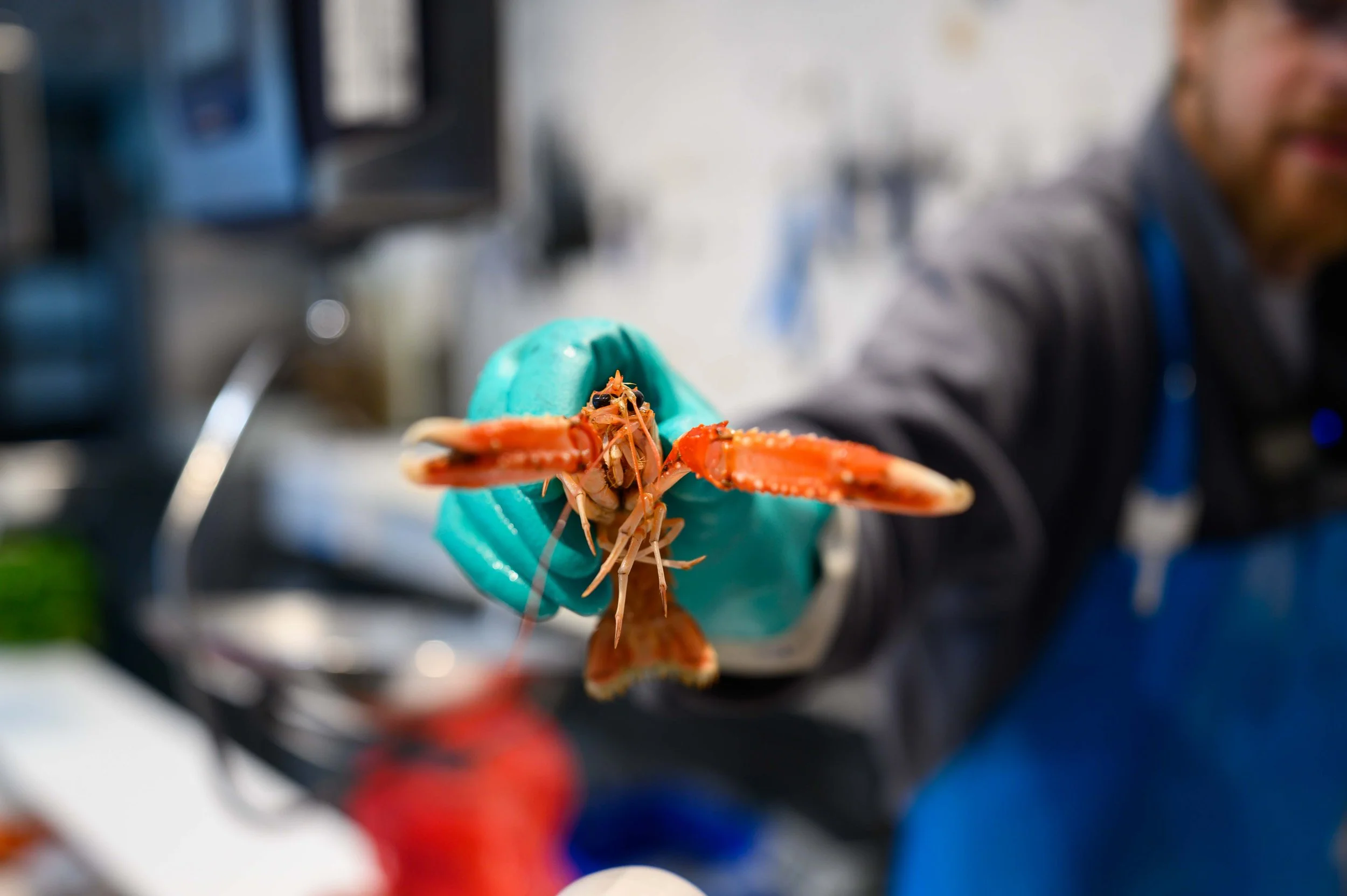 Moxon’s Fishmonger in East Dulwich: Why Your Local Fishmonger is Worth ...
