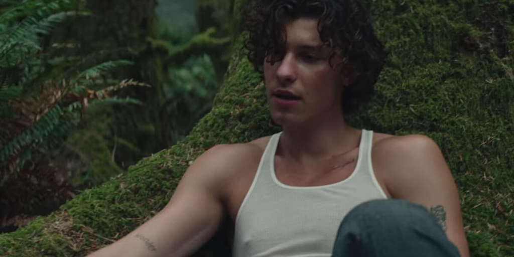 Track Review: Shawn Mendes Kicks Off New Era with "Wonder"