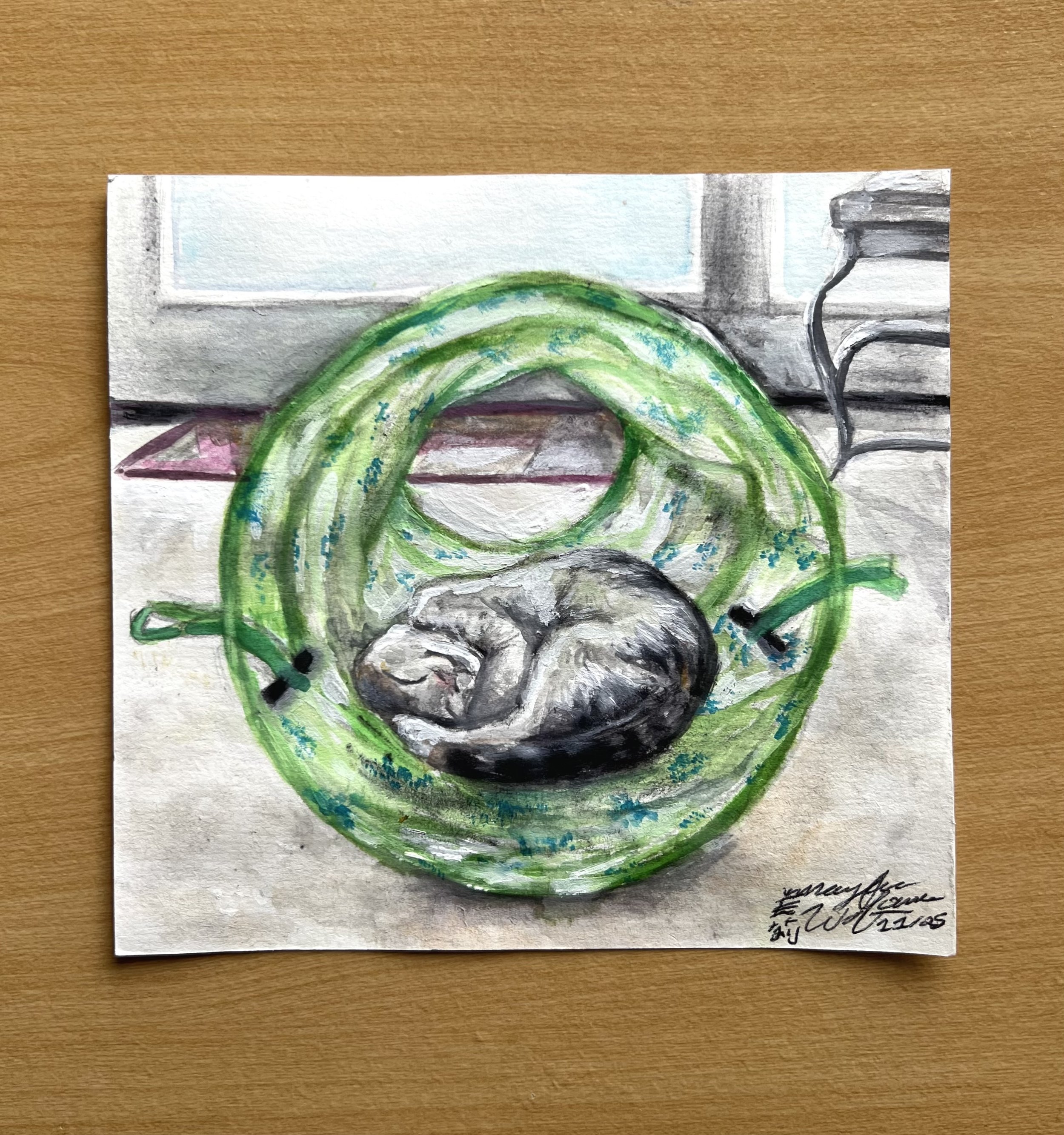 Sally, 2025, watercolor on paper, 5 1/4" 5"