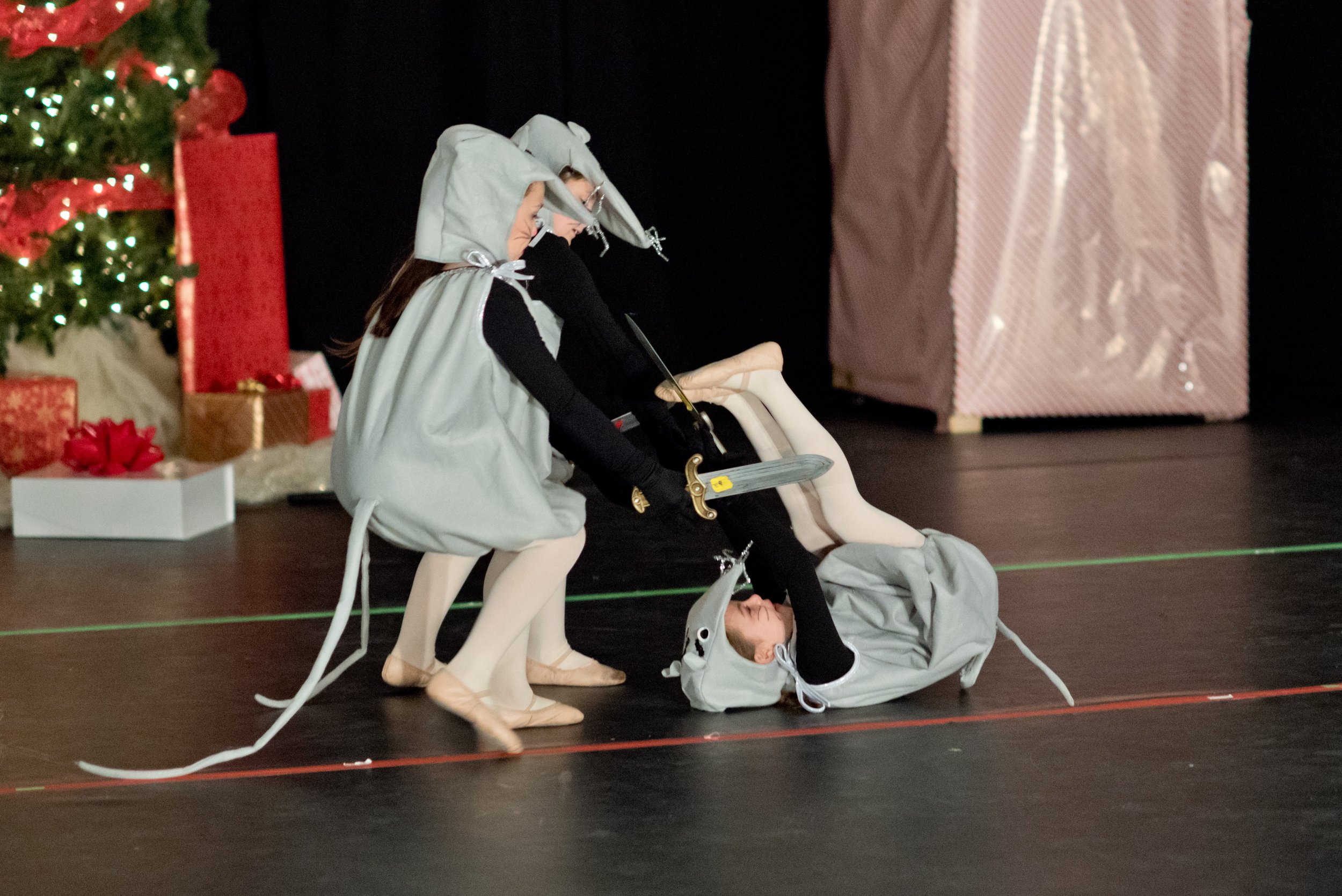 DSC_7353.jpg