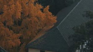 What to Ask a Seattle Seller for When You Have Negotiating Room This Fall