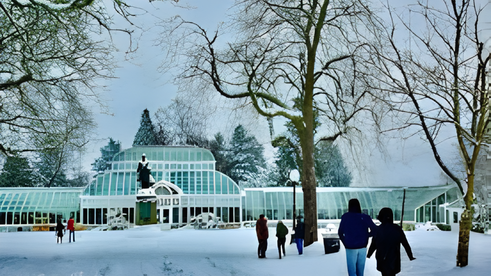 Best Winter Spots in Seattle That Locals Actually Enjoy — Emerald Group ...