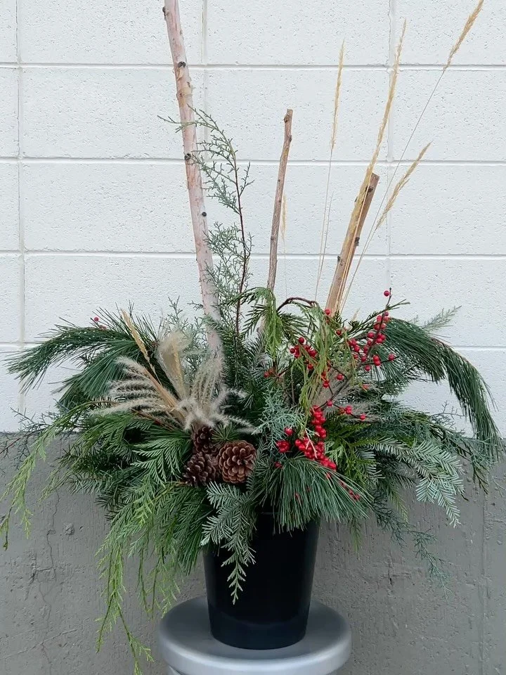 I promise I&rsquo;ll post about something other than workshops soon! 🎅 but my first winter workshop is in less than two weeks so bear with me for a lil bit longer.

Join me on November 29 to make an outdoor planter with fresh winter foliage from BC?