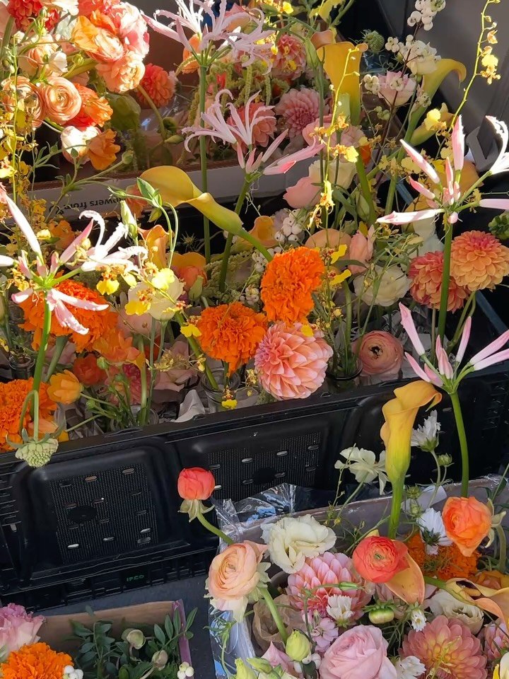 riding in cars with flowers, 2025 edition 🚗