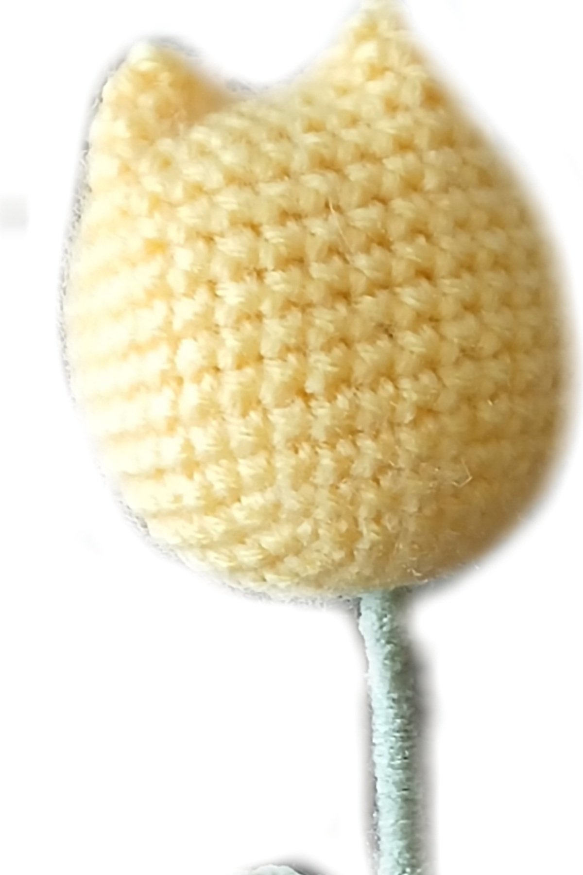 Tulip