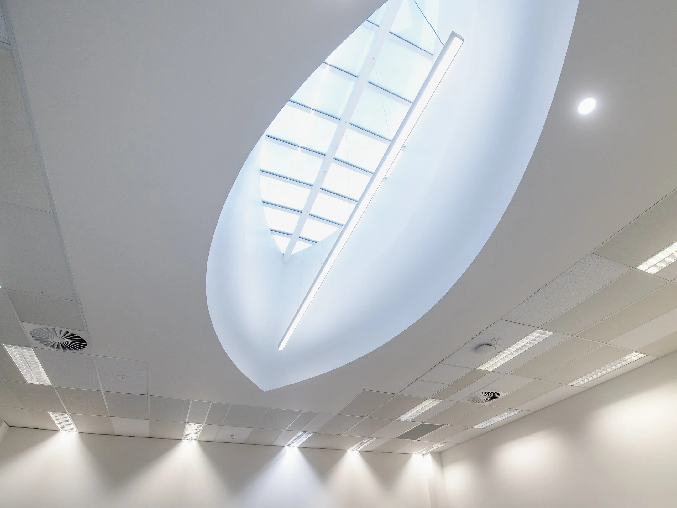 Breen - Tastafe-7.jpg