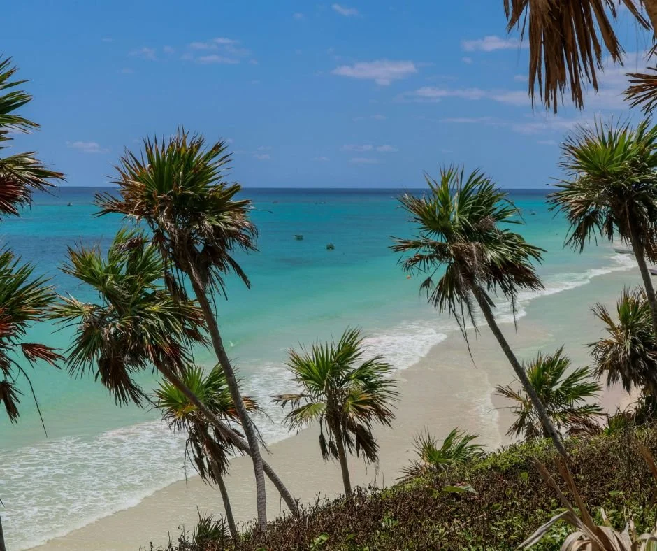 Exploring the Magic of Puerto Vallarta from Bucerías
