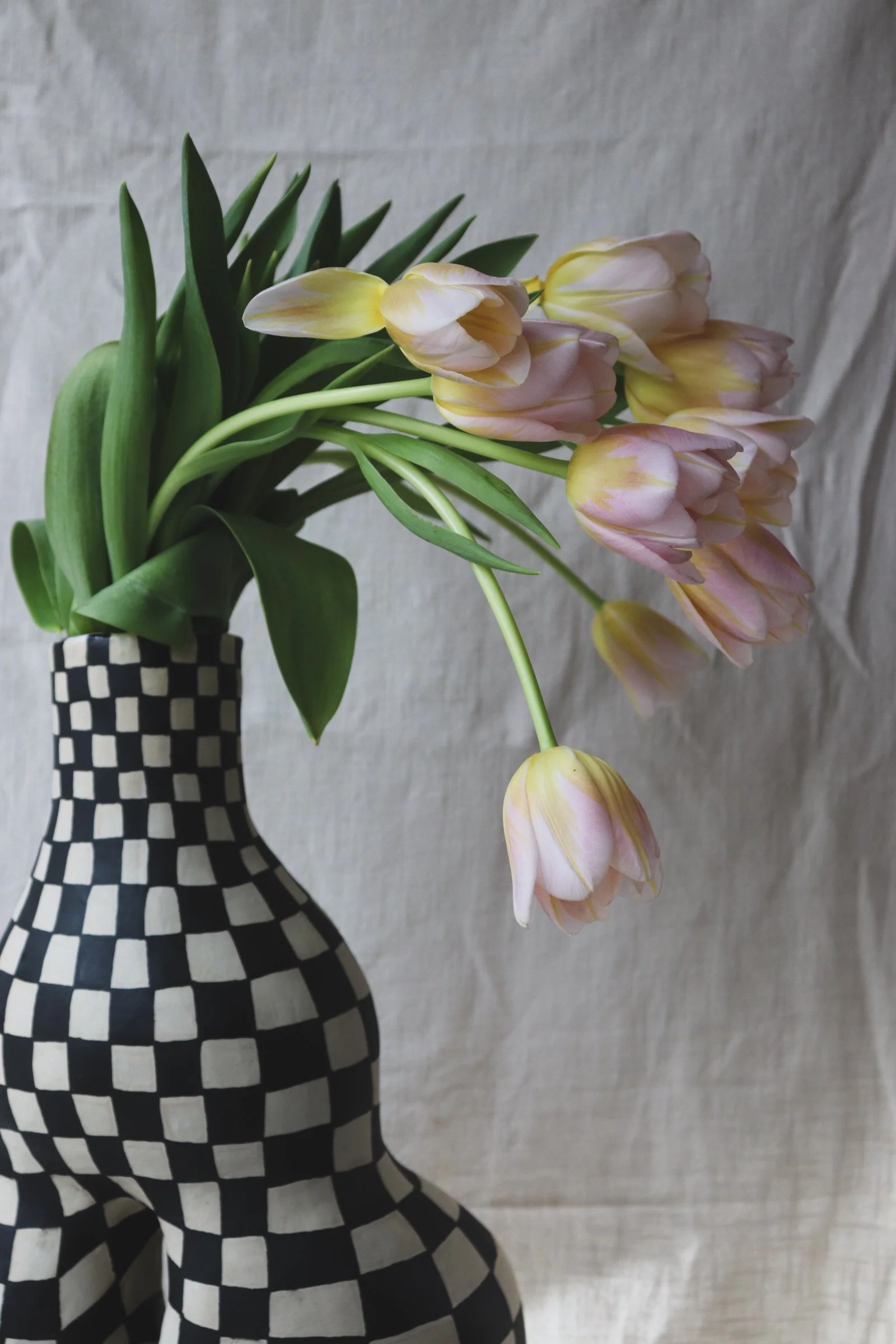 Lady,Lady No.1-4.JPG