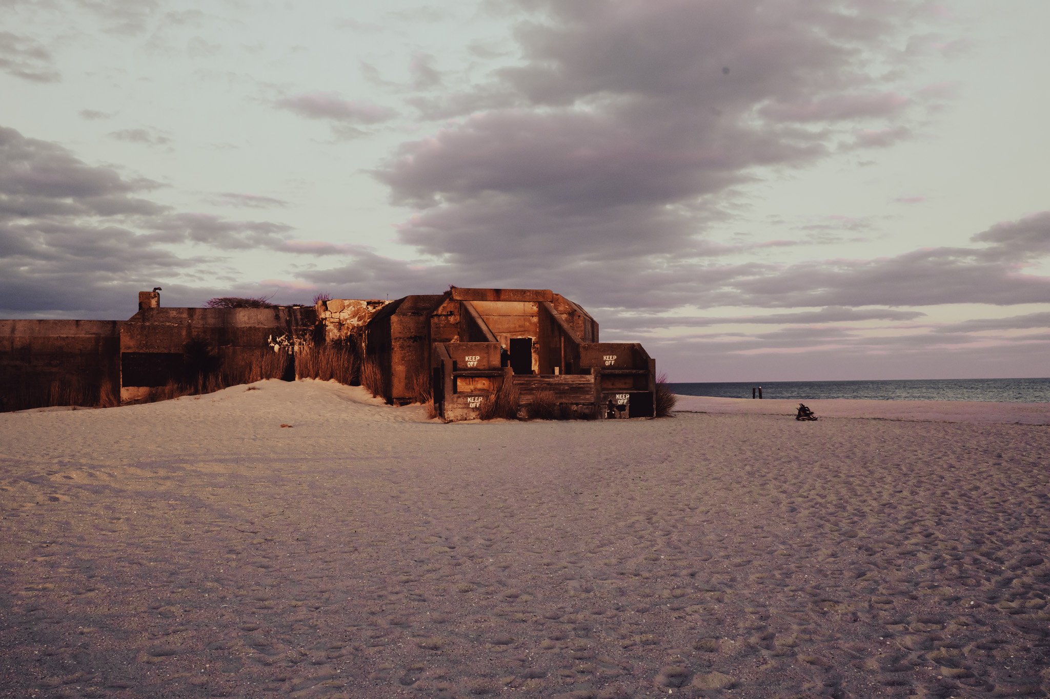 _DSC8473.jpg