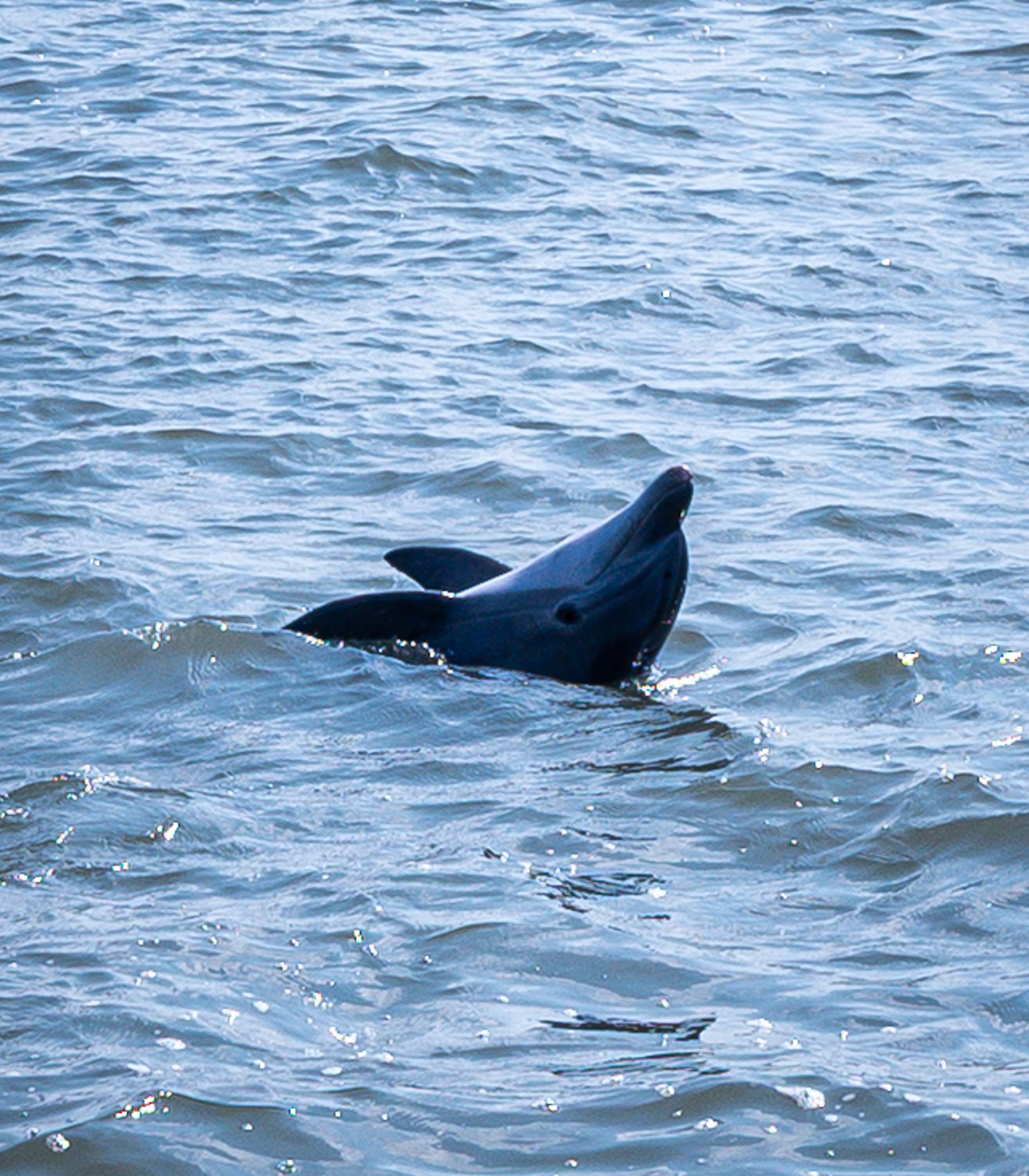 DSC_3860.jpg