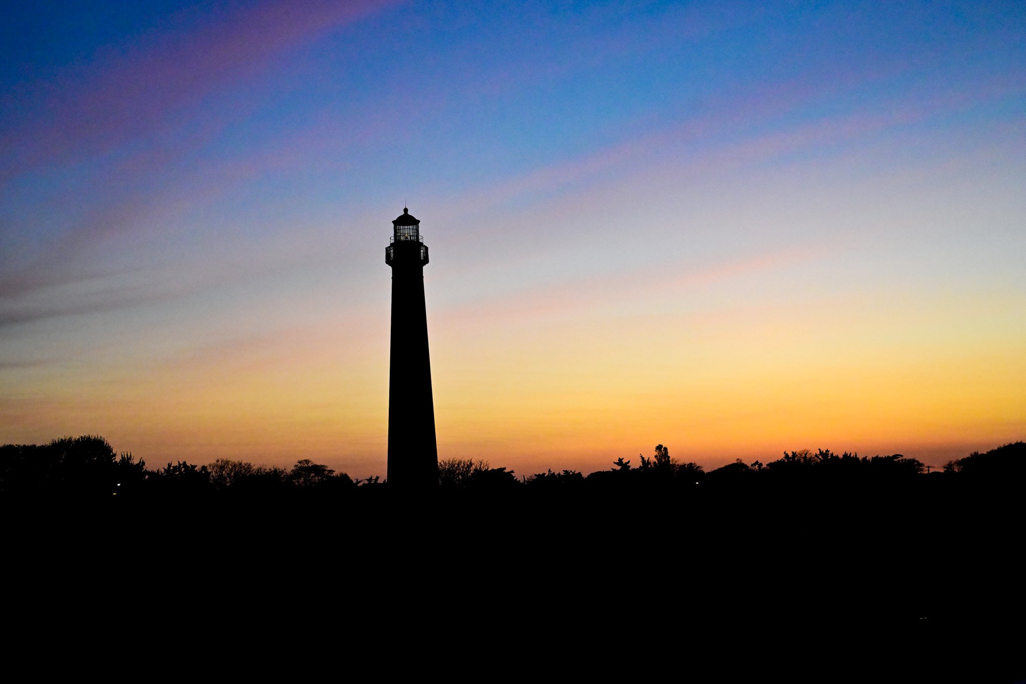 _DSC8817.jpg