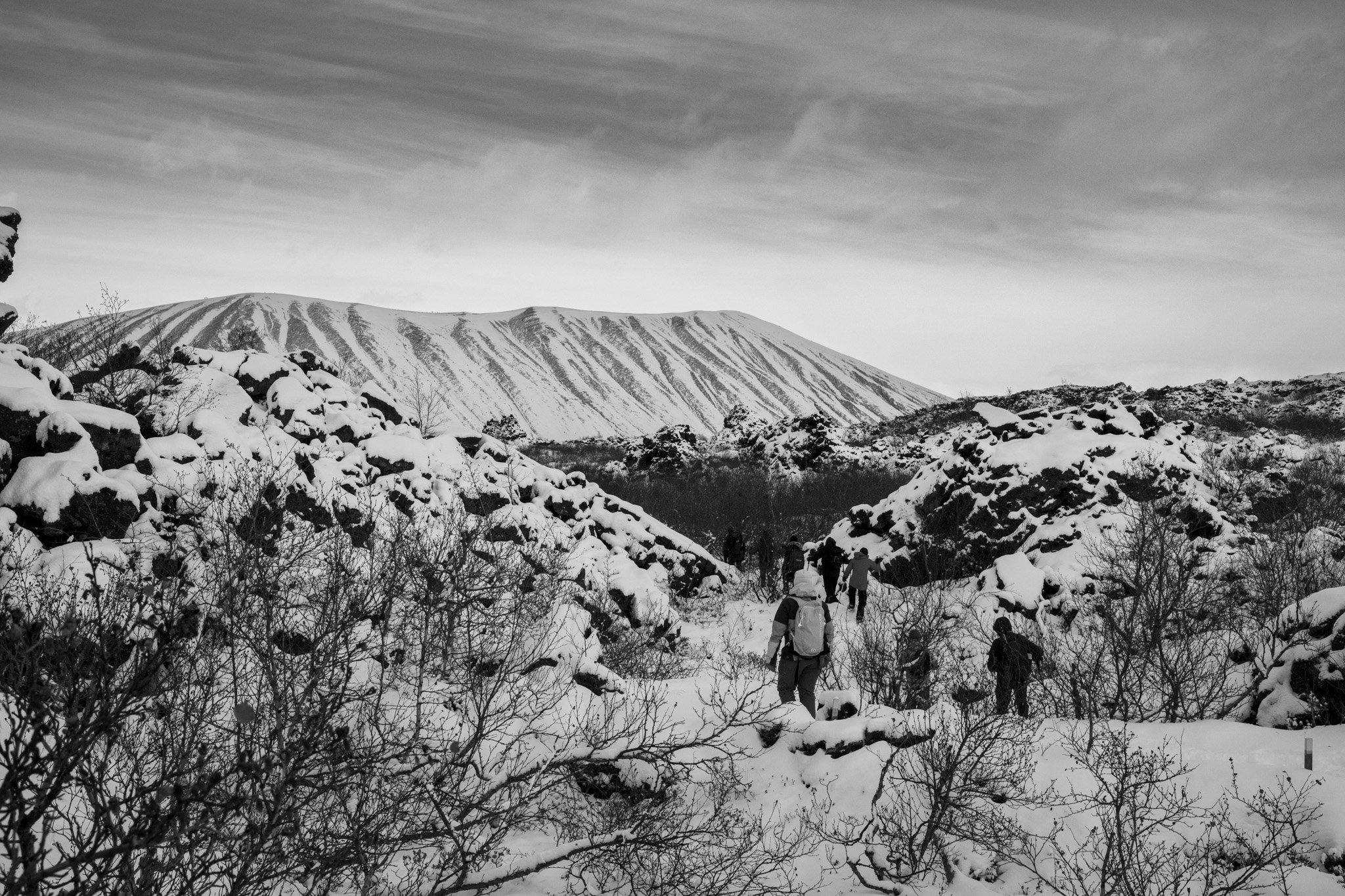 DSC_0485.jpg