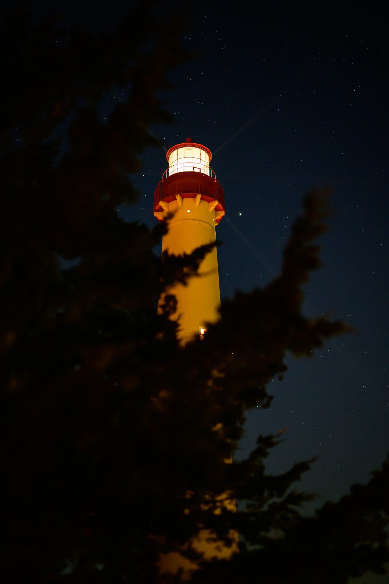 _DSC8629.jpg