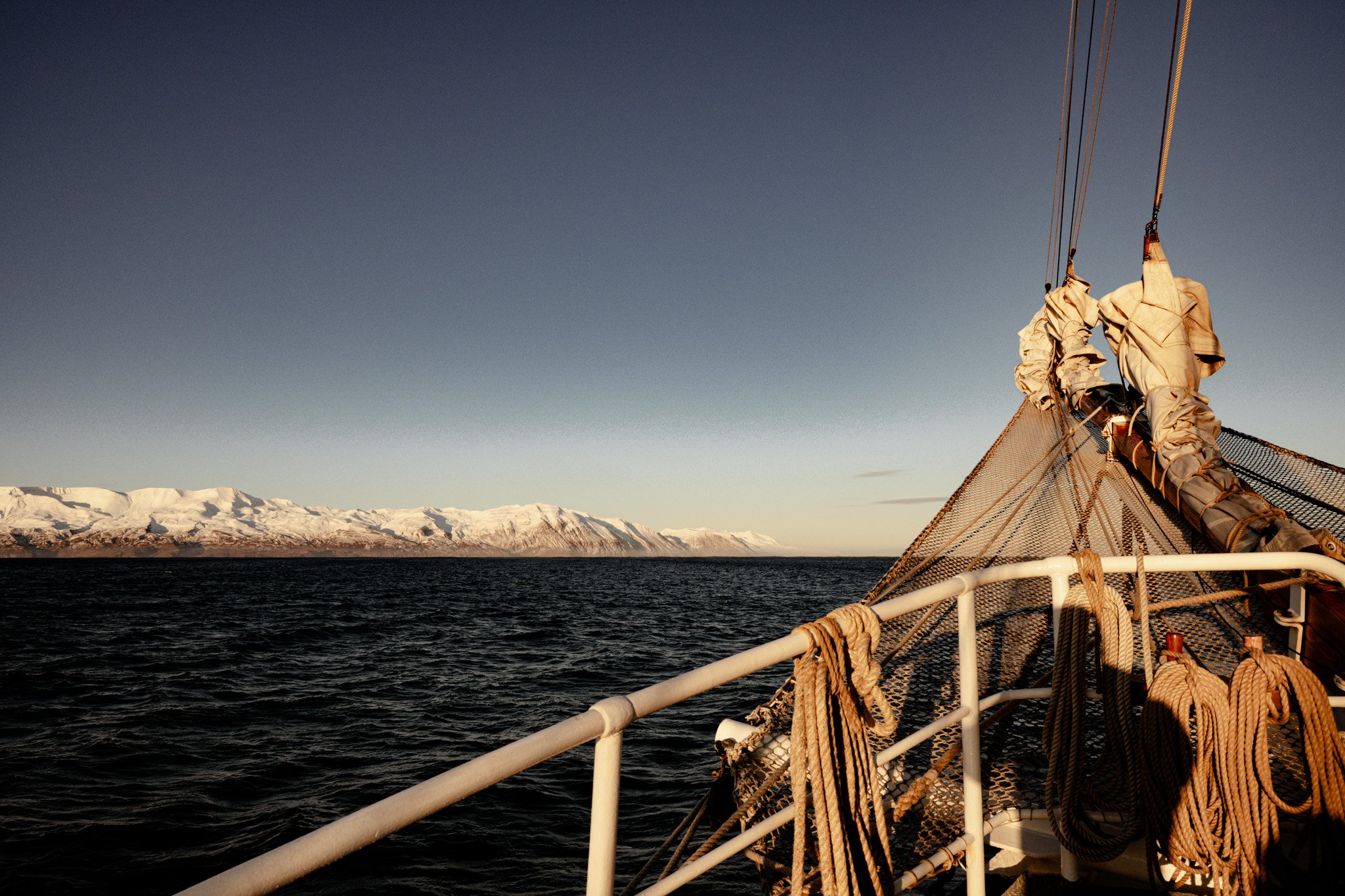 DSC_1366.jpg