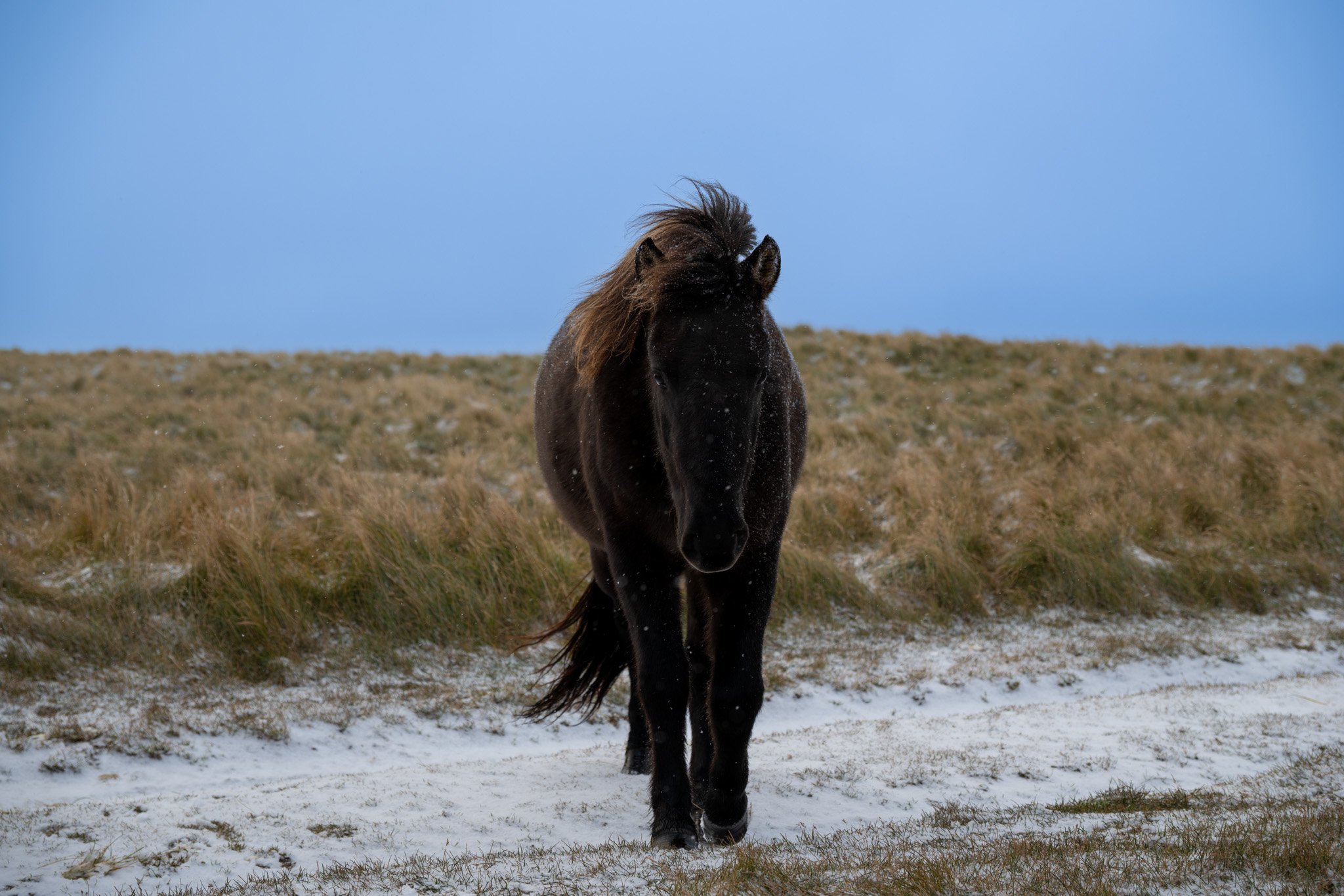 DSC_0253.jpg
