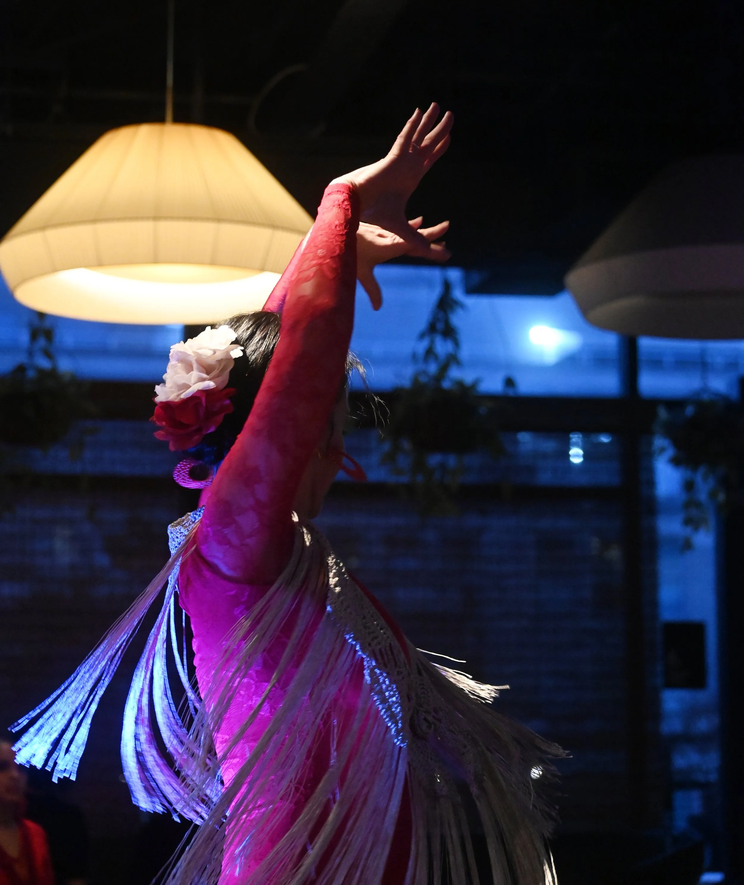 120725 Flamenco Celebration Atop Eaton Hotel-181.JPG