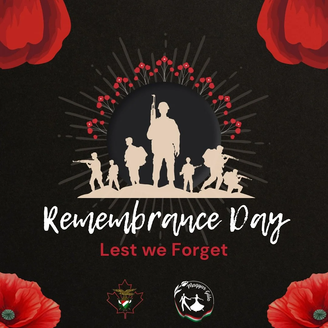 For their bravery and sacrifice. Lest We Forget. 

&mdash;
#remembranceday #lestweforget #HVLA