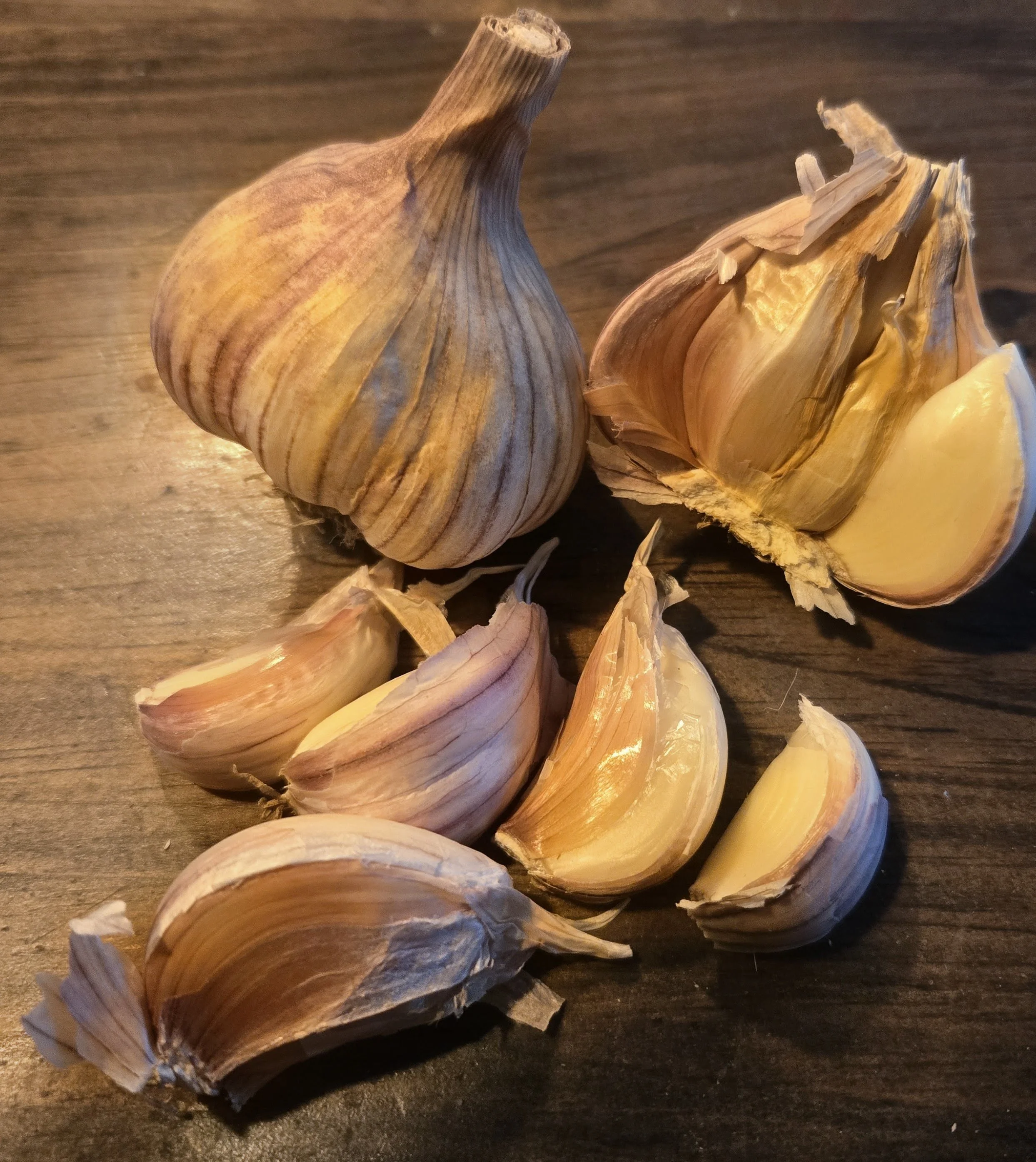 Lithuanian Purple