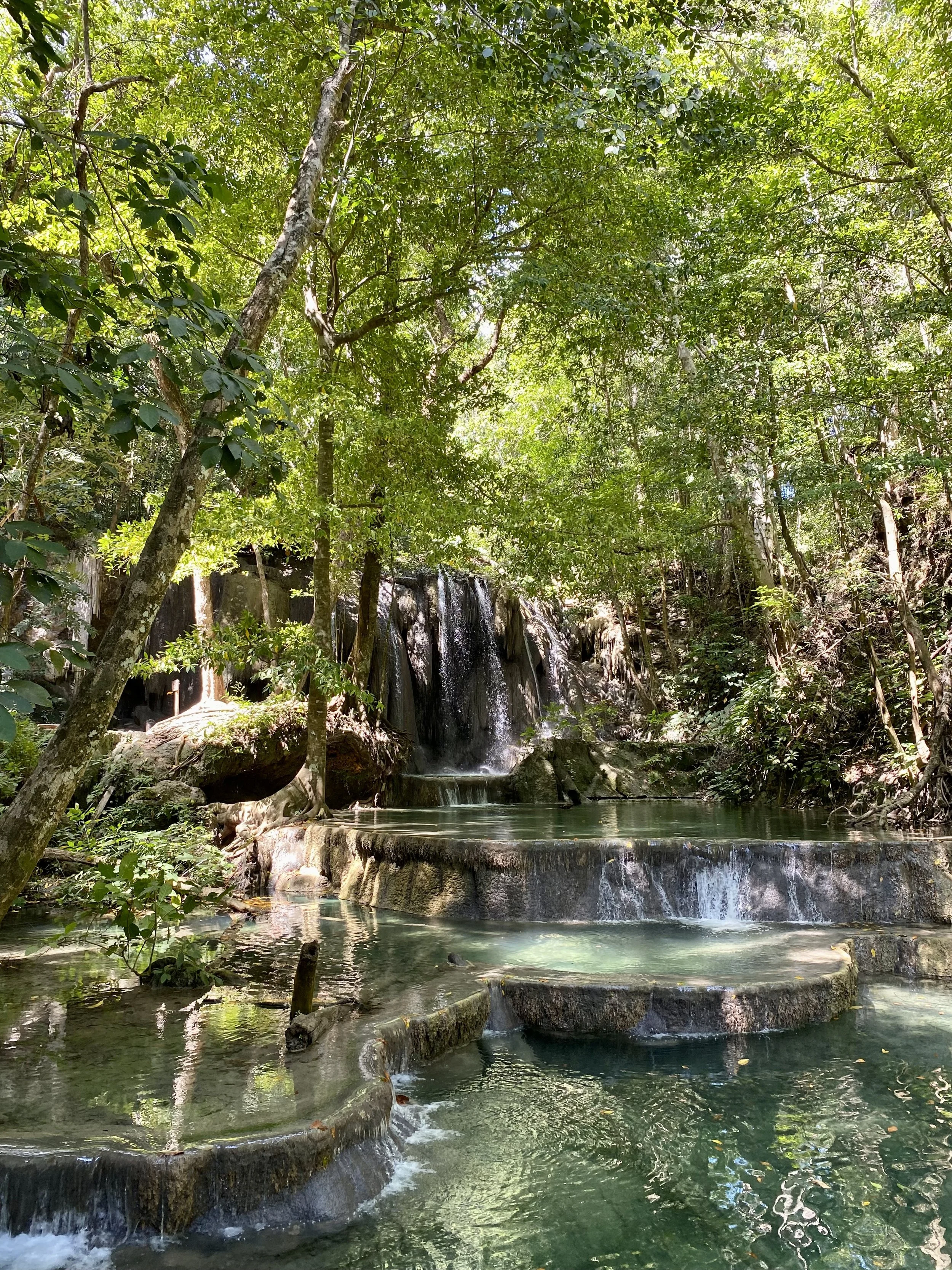 moyo island waterfall snorkeling sumbawa bear