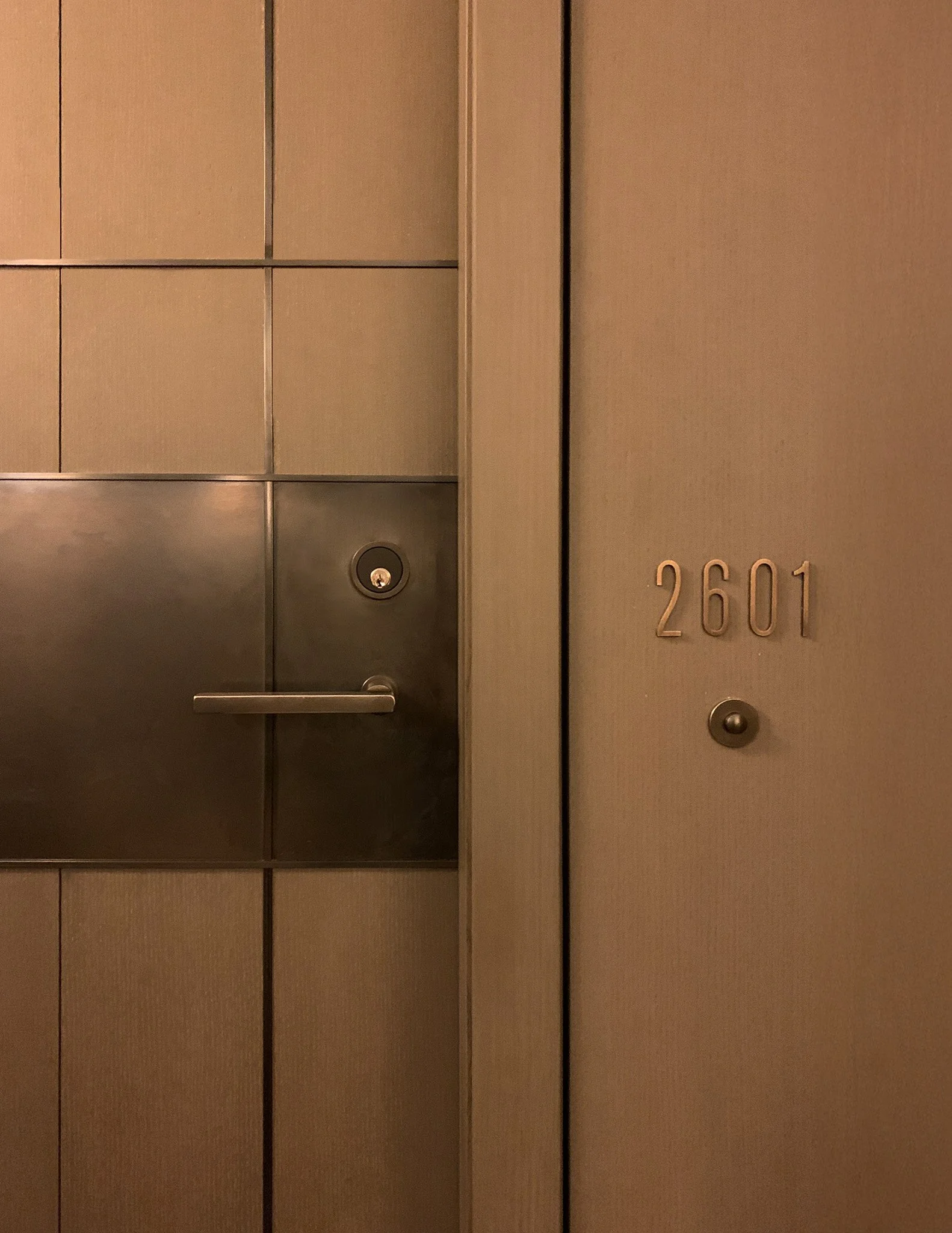 steel and oak modern apartment entry door detail