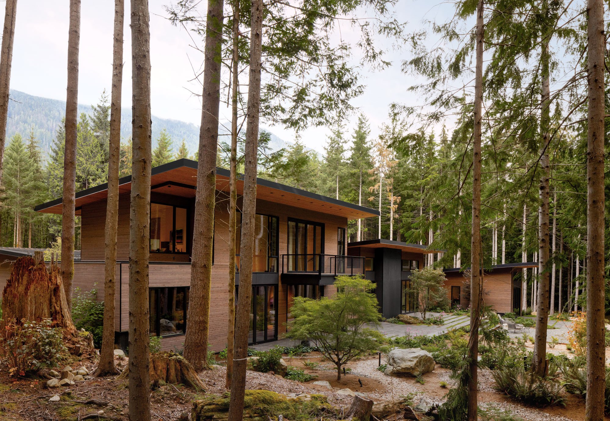 Modern cabin gently stepping down topography, cedar siding, deep overhangs, inside outside design