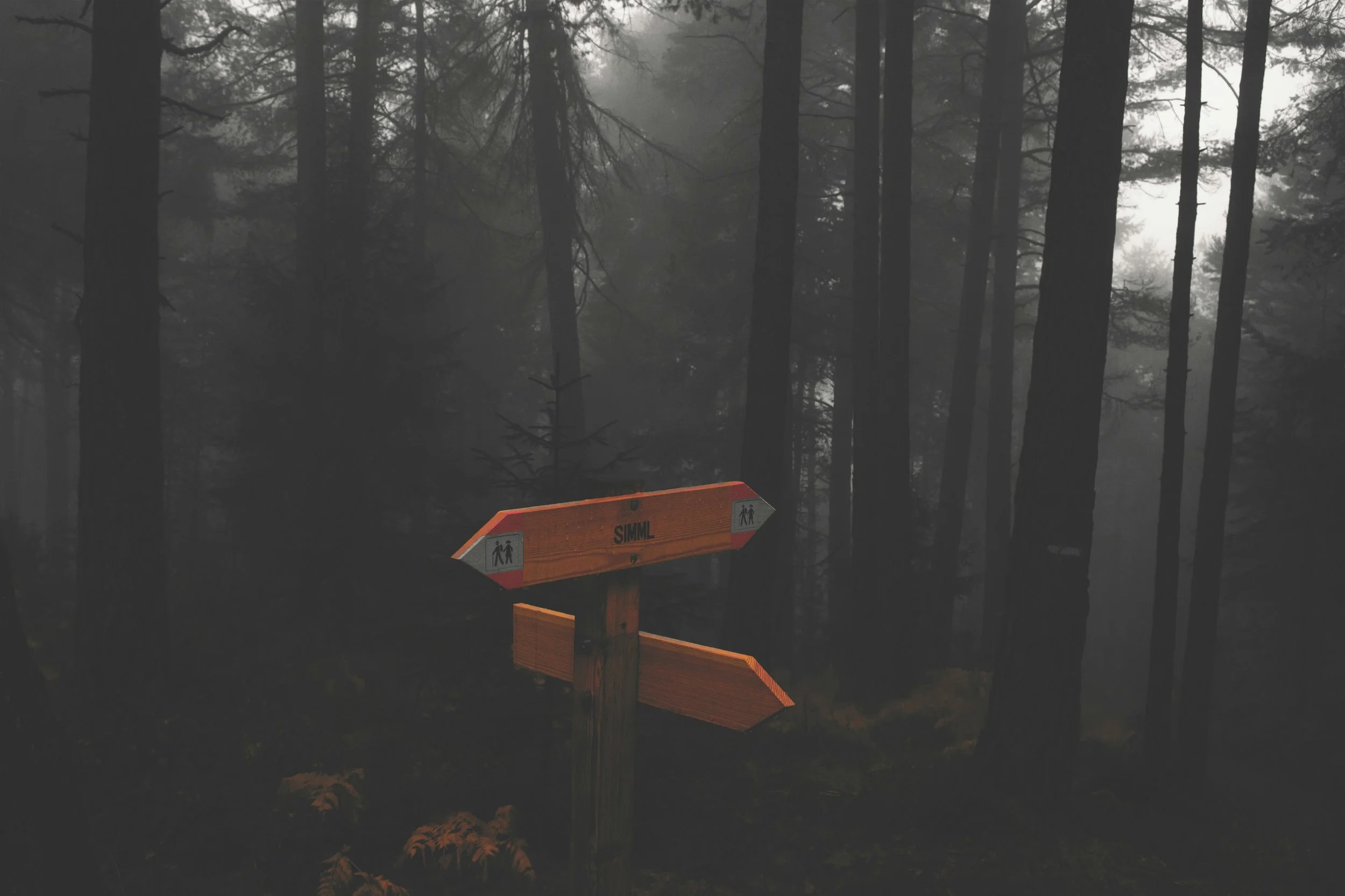 Why Decision Coaching Actually Works