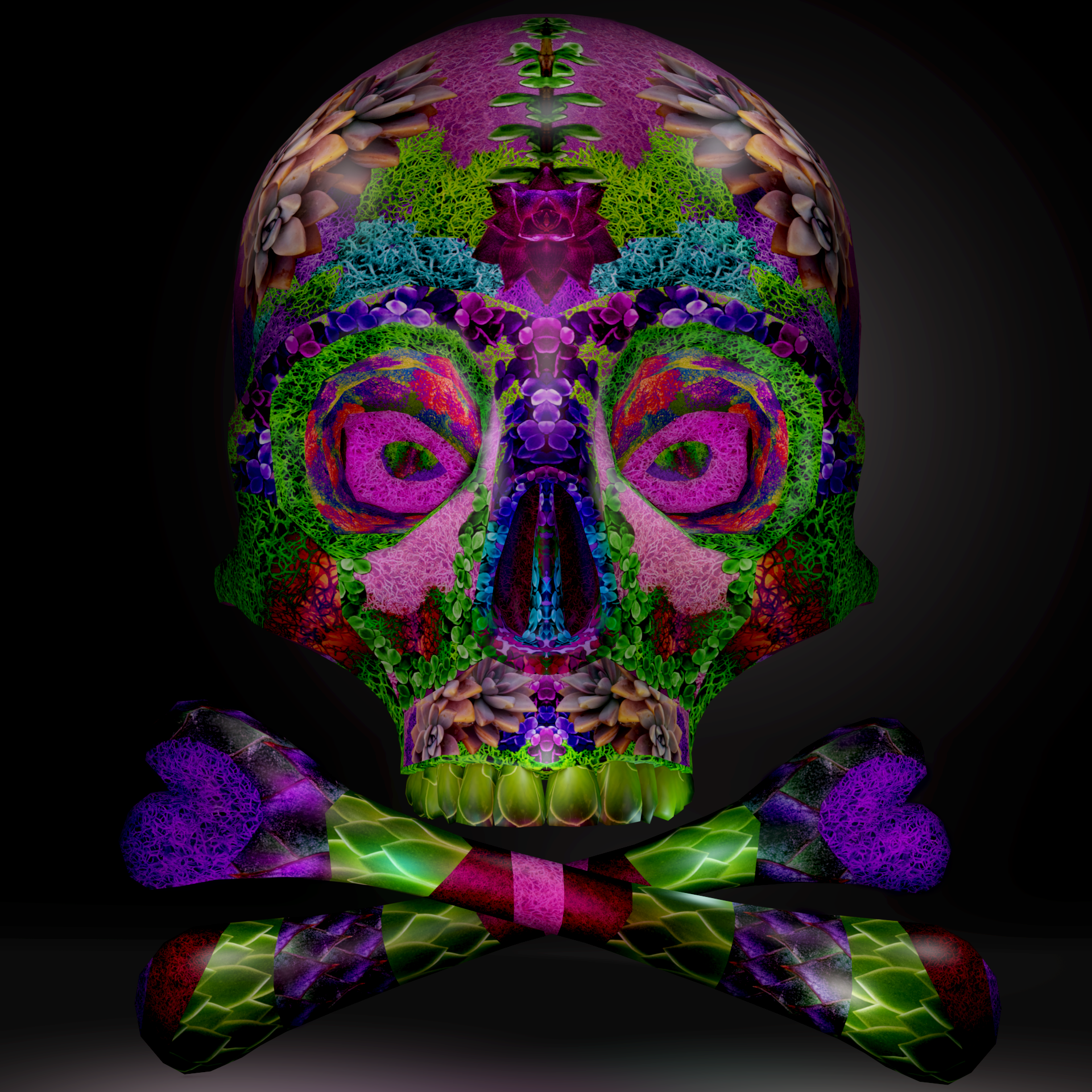 #11 Succulent Skull.png
