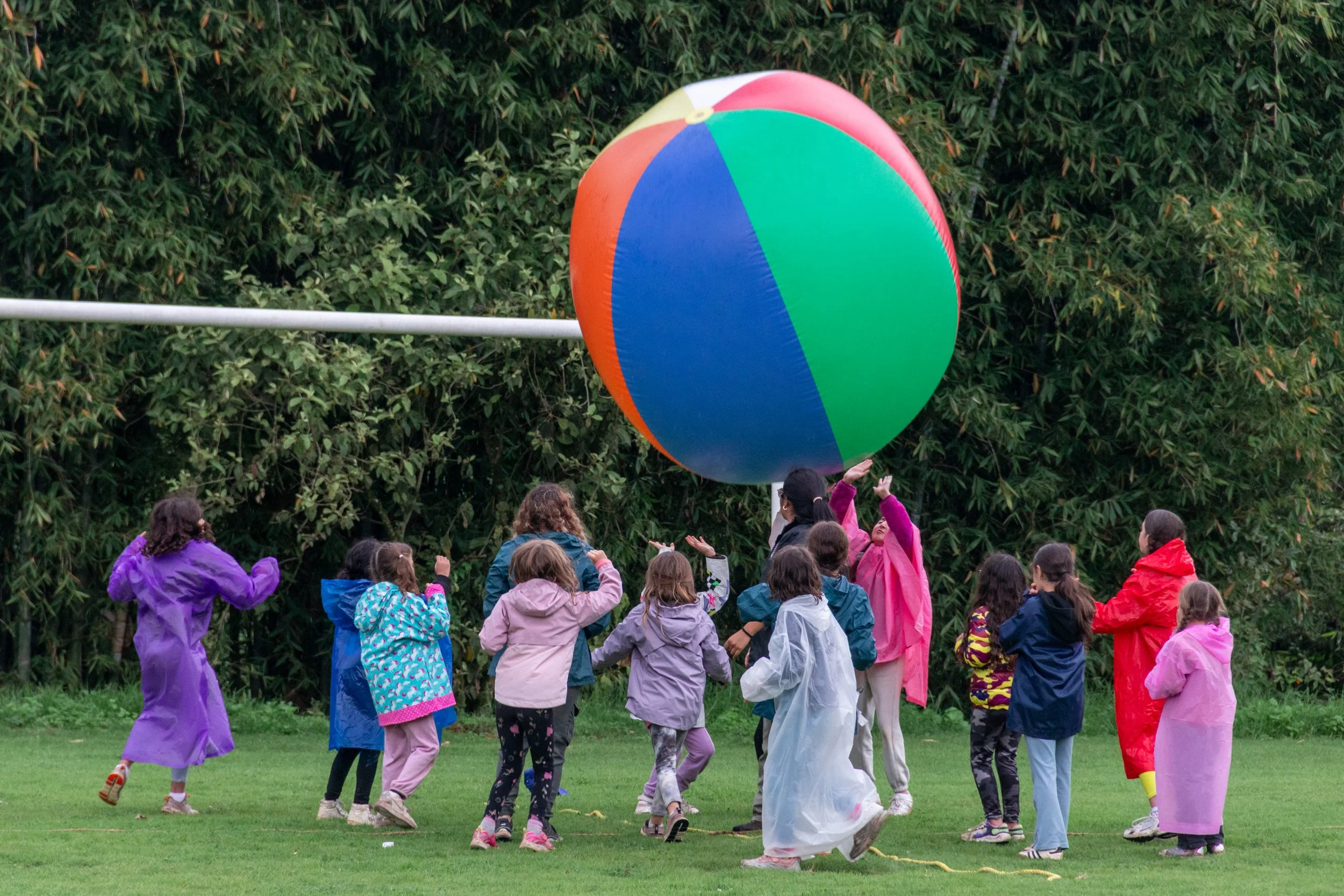 ACTIVIDADES  (17).jpg