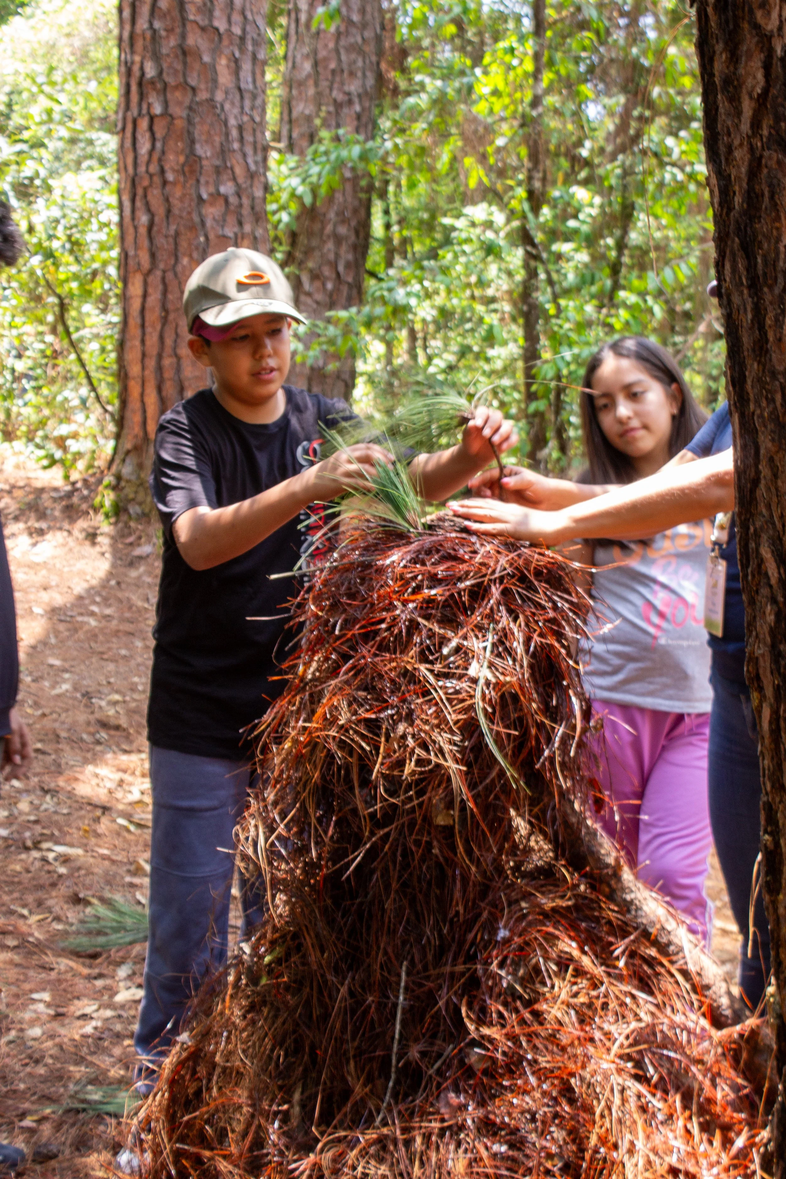 ACTIVIDADES  (30).jpg