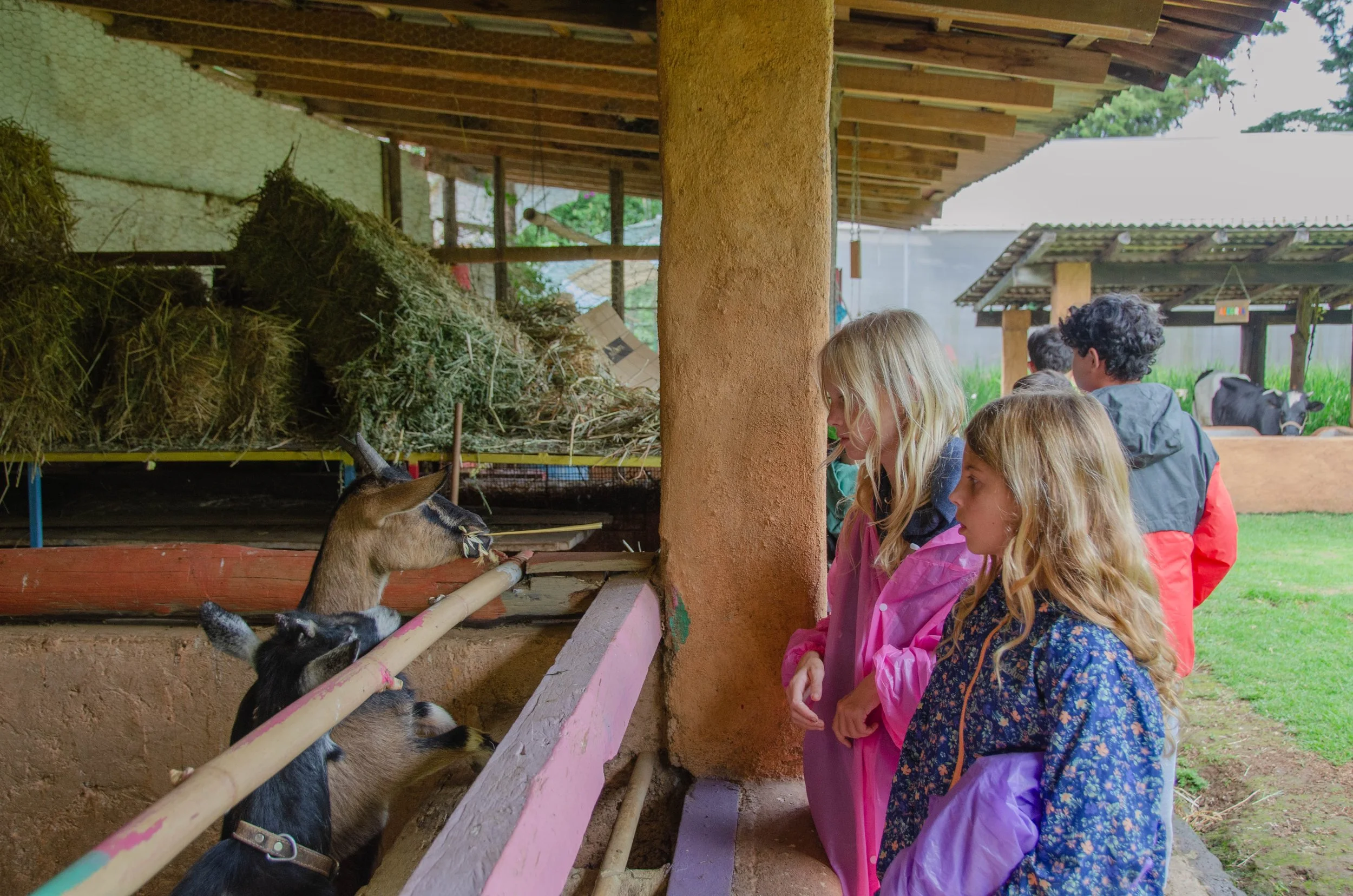 ACTIVIDADES  (24).jpg