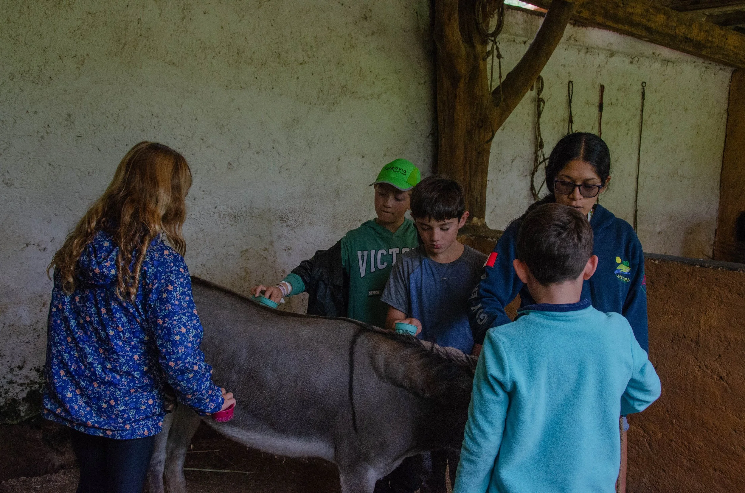 ACTIVIDADES  (26).jpg