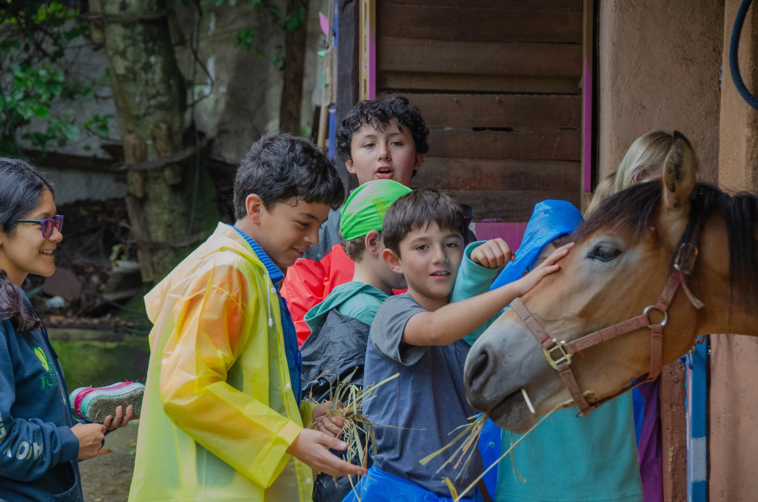 ACTIVIDADES  (25).jpg