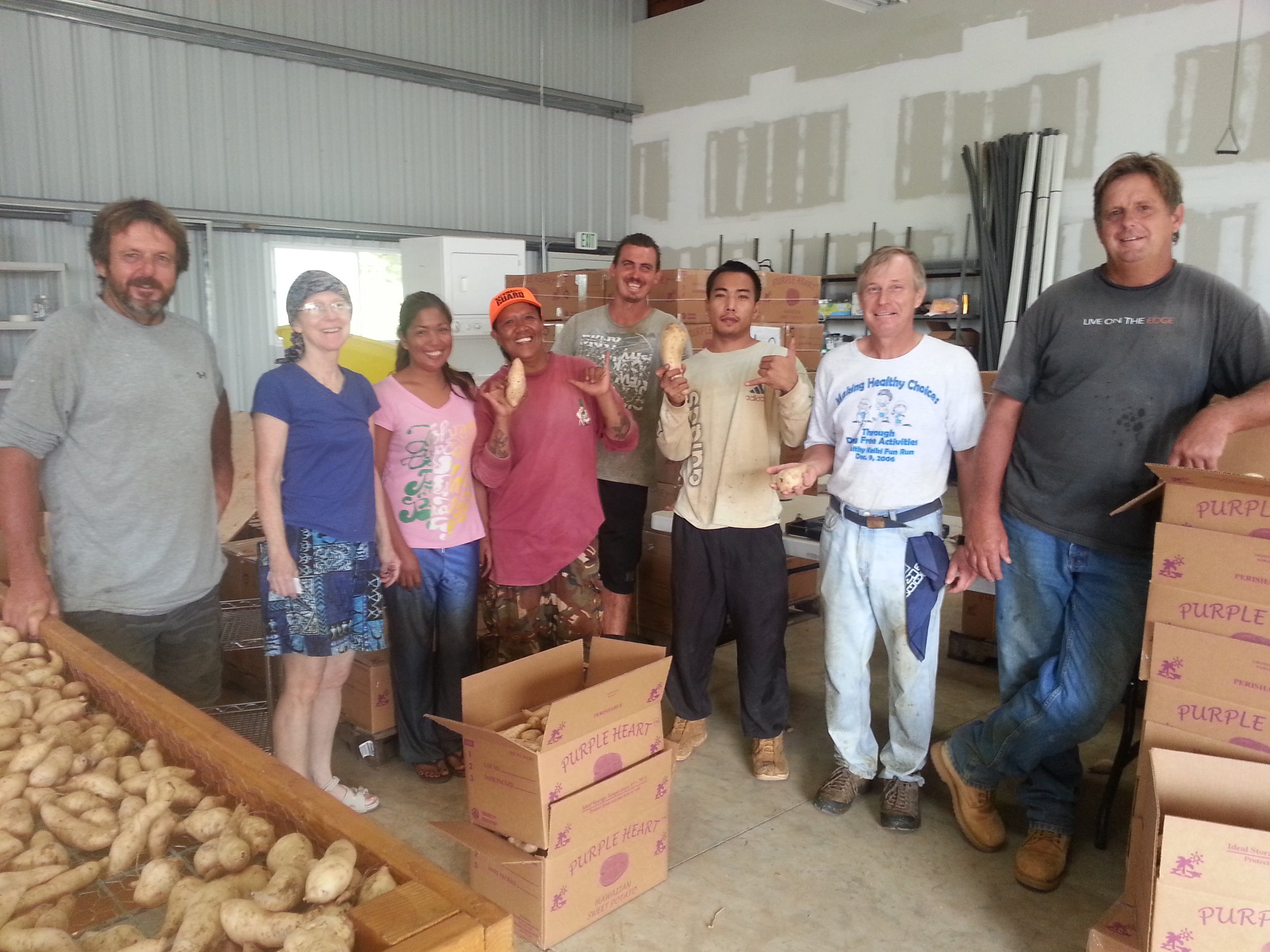 Sweet Potato packing