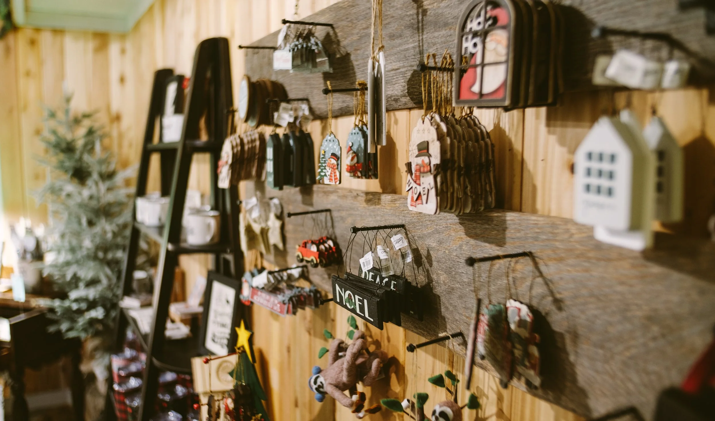 Gallery 3 — Shining Star Tree Farm + Venue