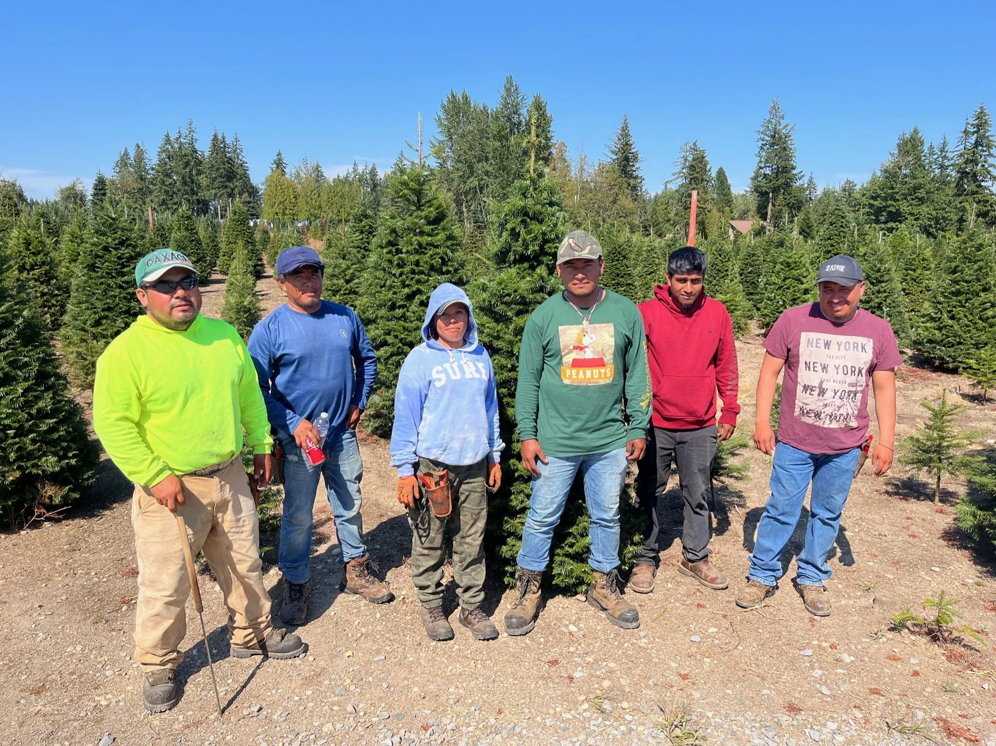 Gallery 3 — Shining Star Tree Farm + Venue