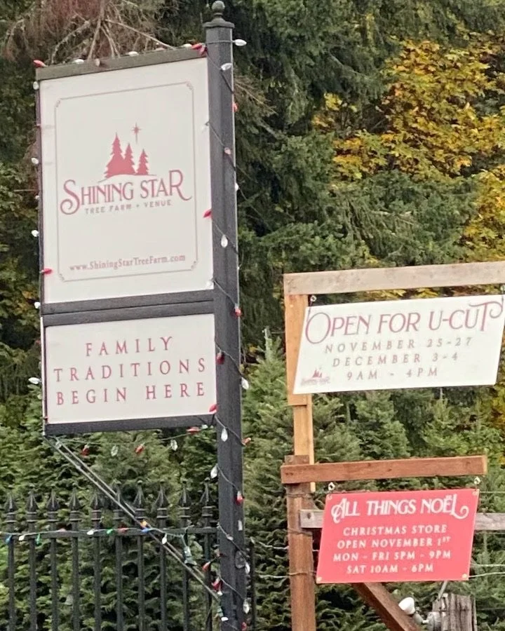 Gallery 3 — Shining Star Tree Farm + Venue