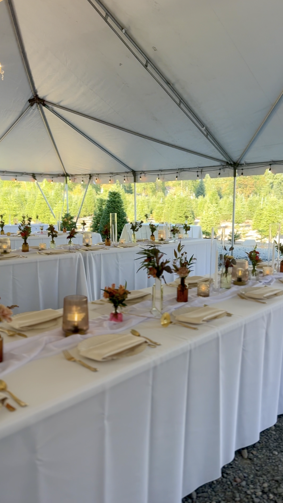 Screenshot 2025-12-31 at 2.54.57 PM.png