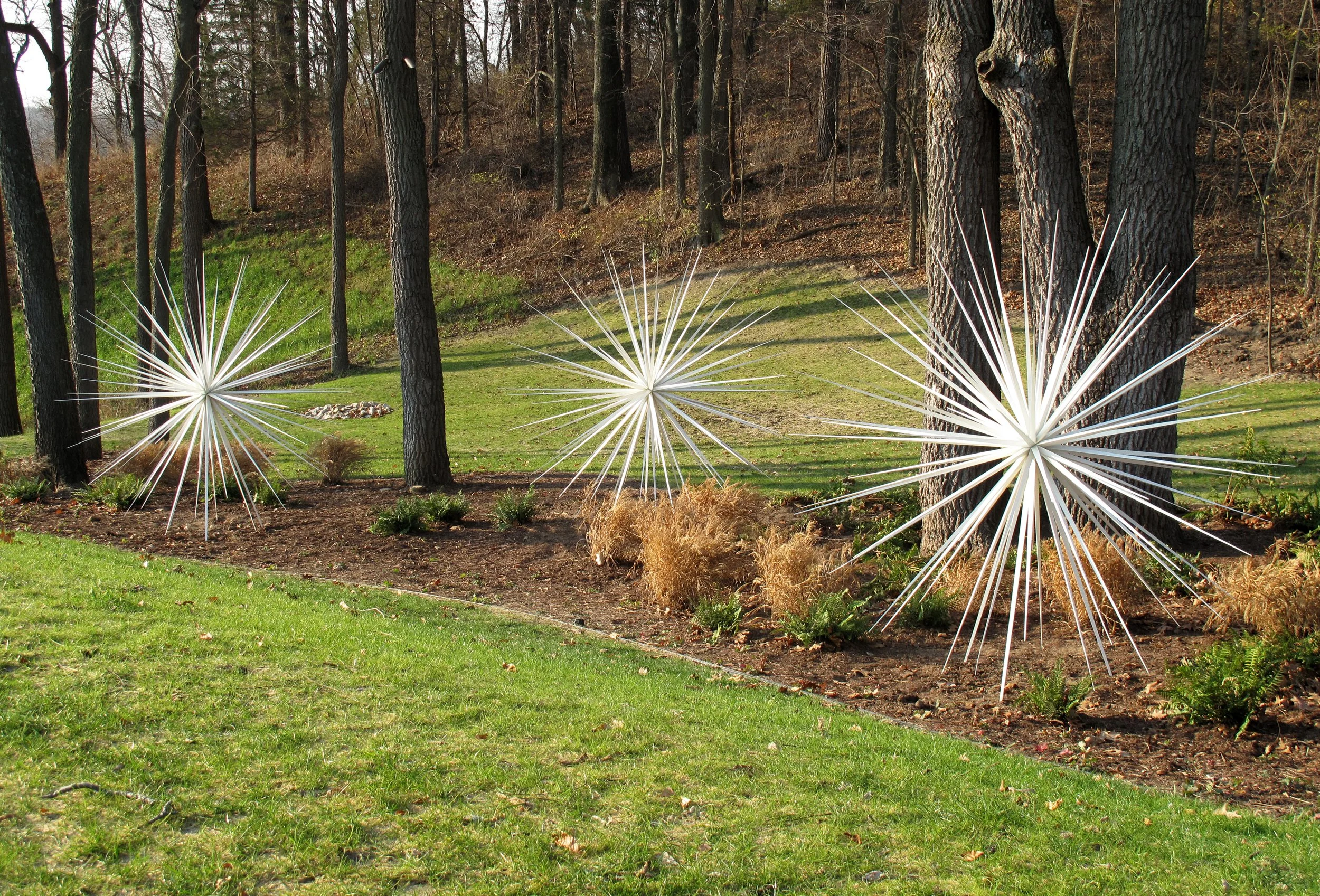 DeVois(10)-Windseed_96_2010.jpg