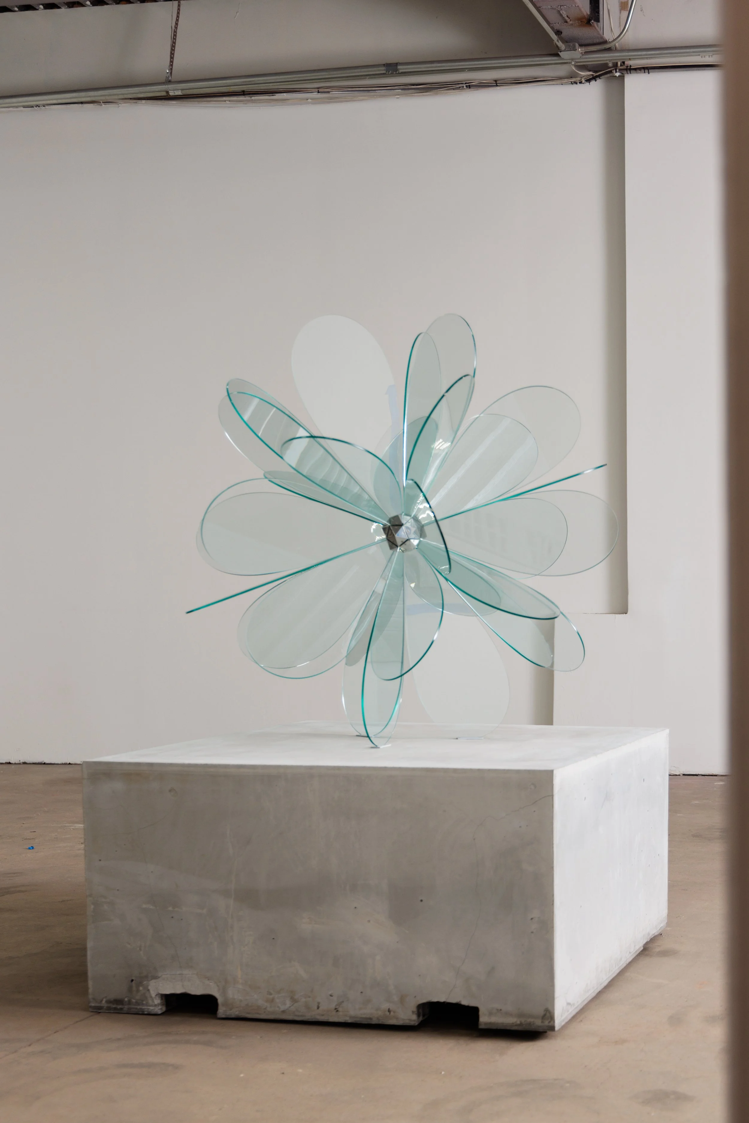 BLOOM NO.5