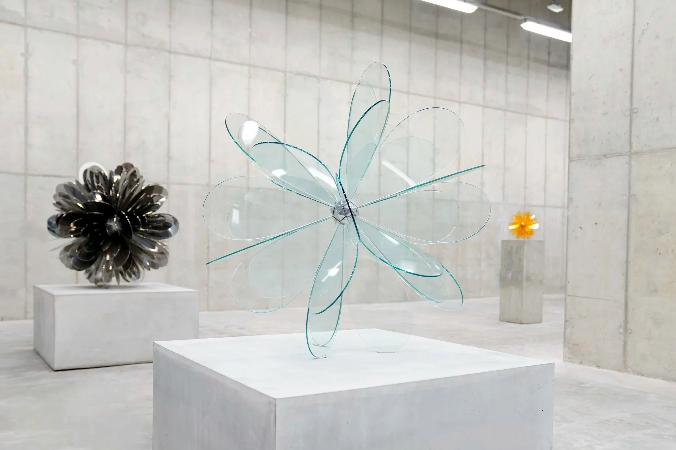 BLOOM_No.5_3.jpg
