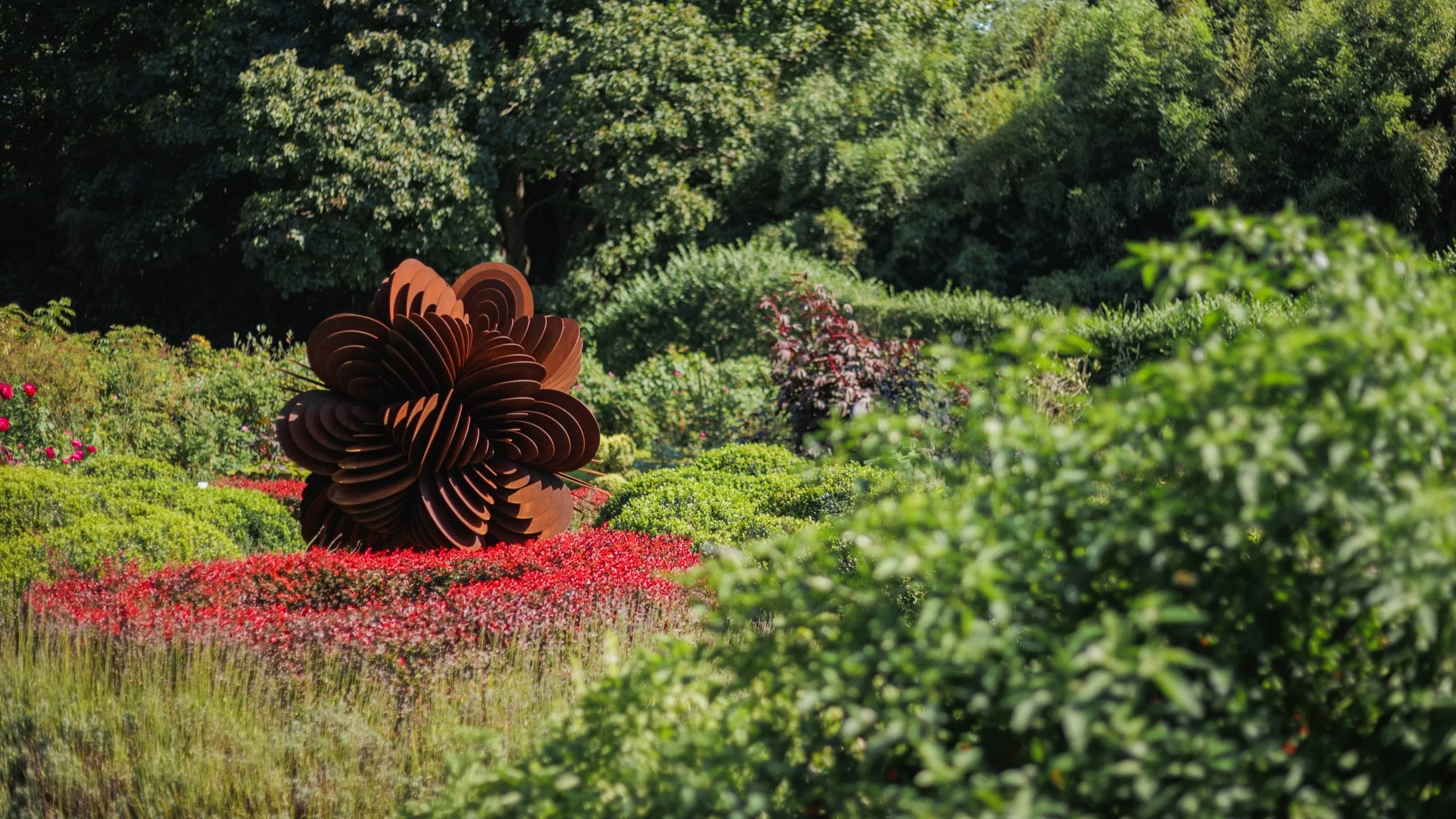 CORTEN BLOOM NO.1_2.jpg