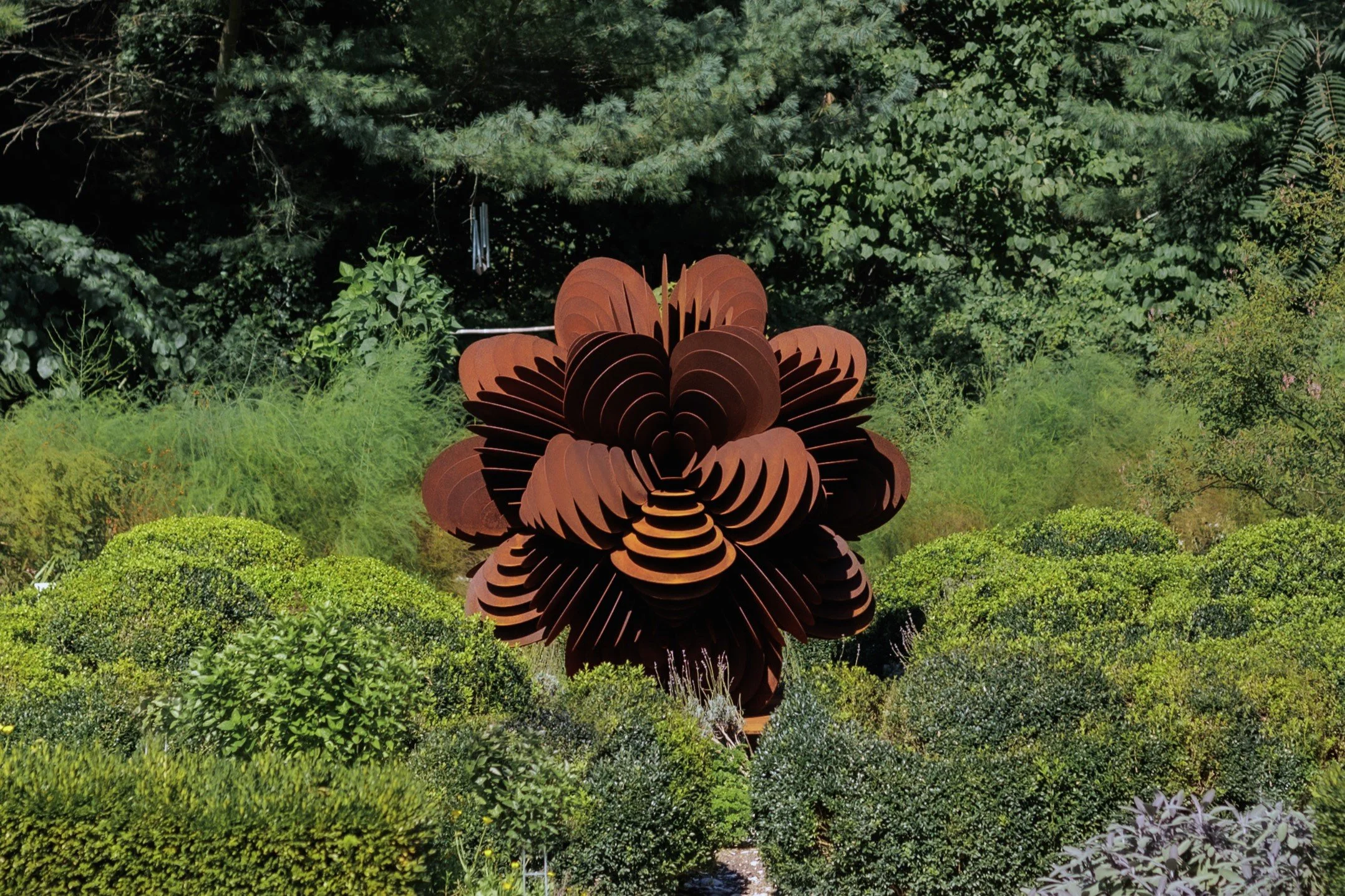 Corten Bloom No.1 1:3.JPG