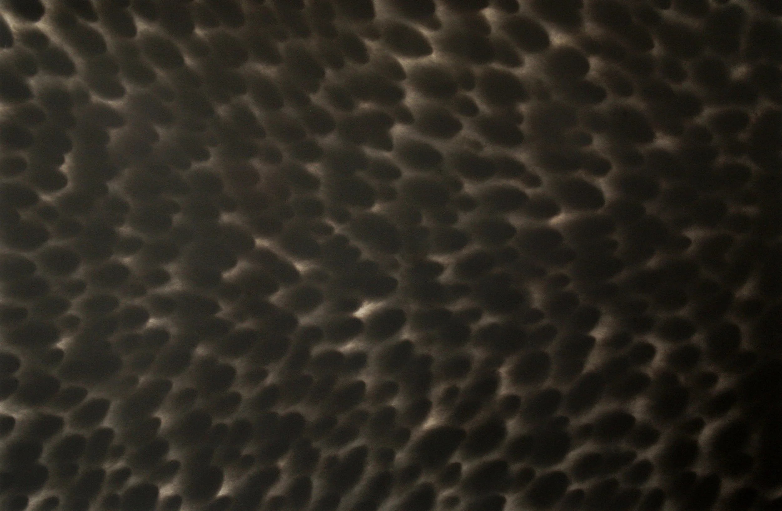 Carbon on Panel S7-04