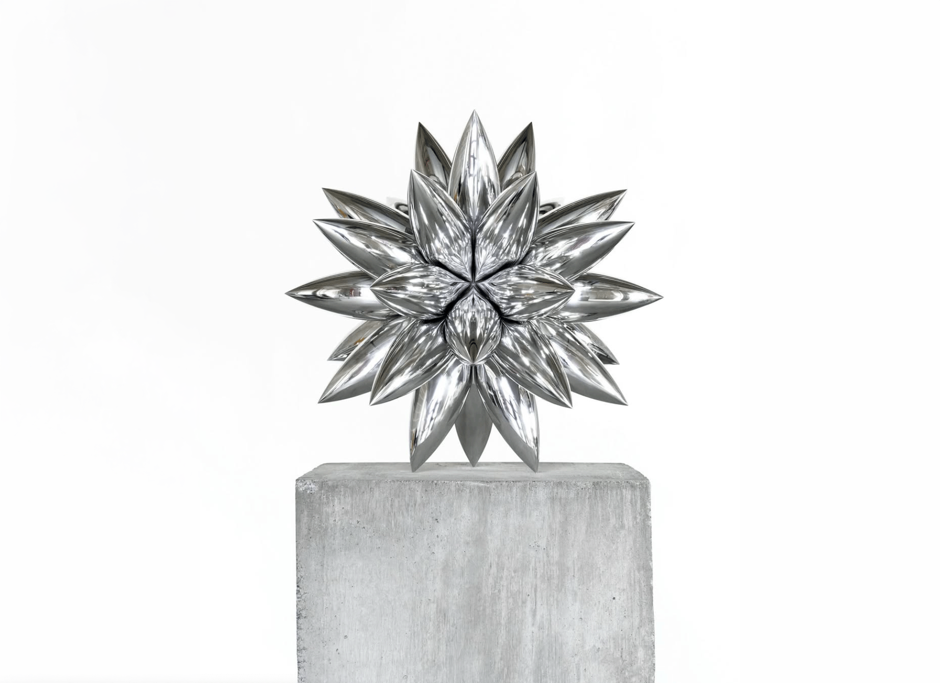 SEED BLOOM EDITION NO.1