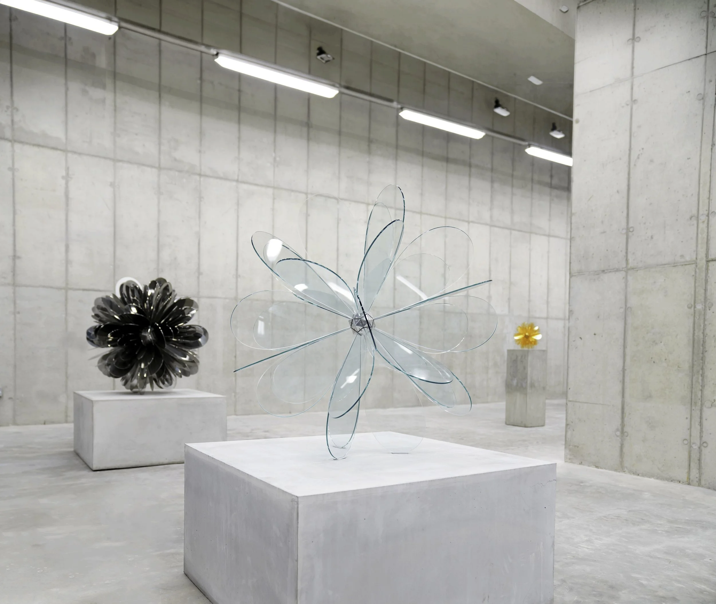 BLOOM_No.5_3 3.jpeg